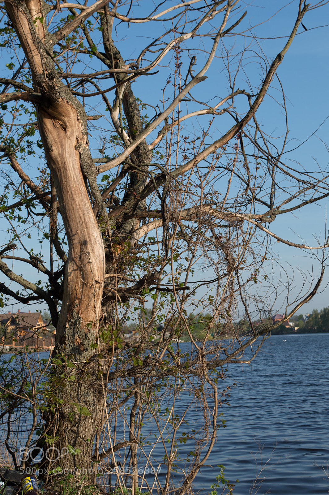 Nikon D3200 sample photo. Untitled photography