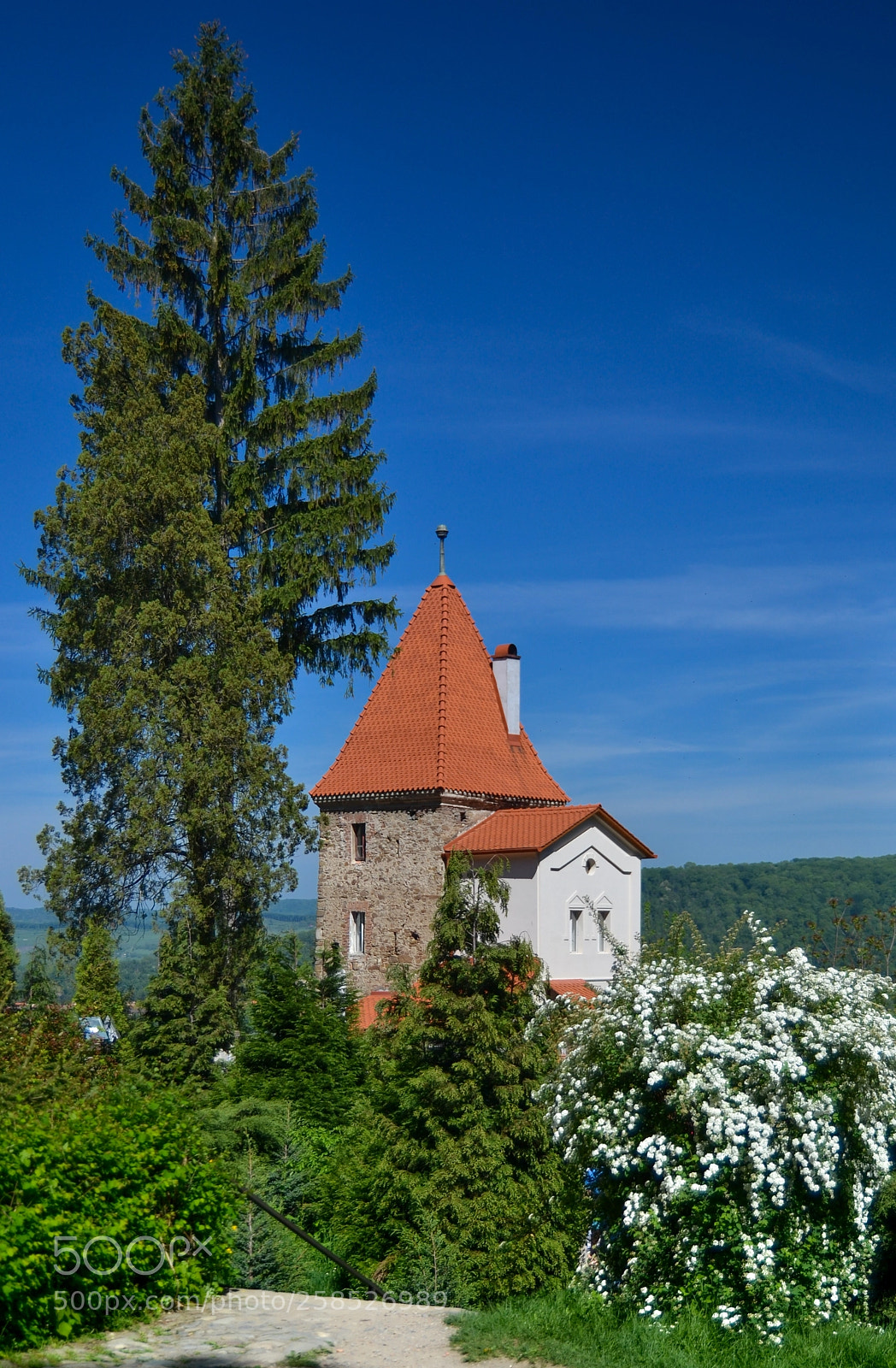 Nikon D3100 sample photo. Turnul fr nghierilor, sighi photography