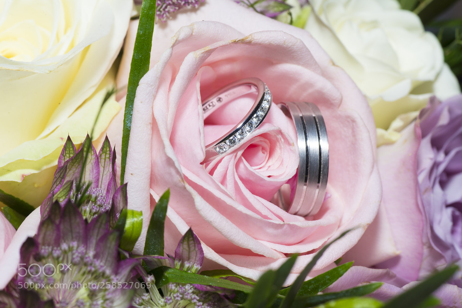 Nikon D600 sample photo. Rebecca & stuart photography