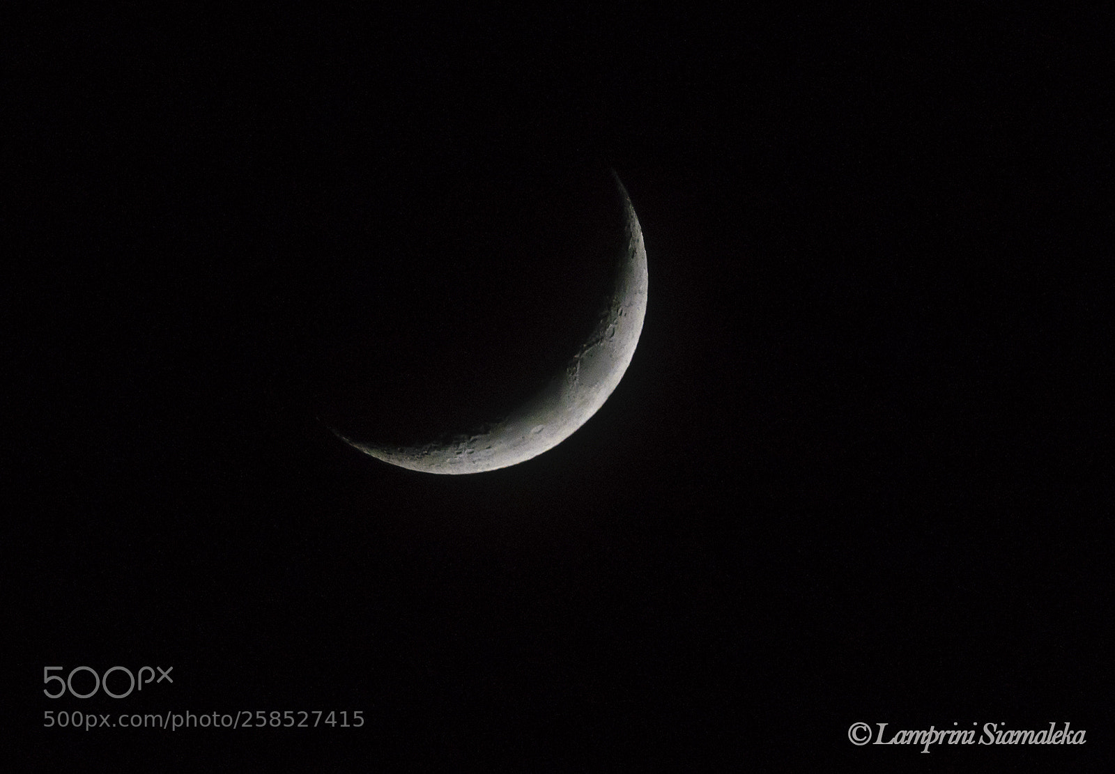 Nikon D3300 sample photo. -filling- photography