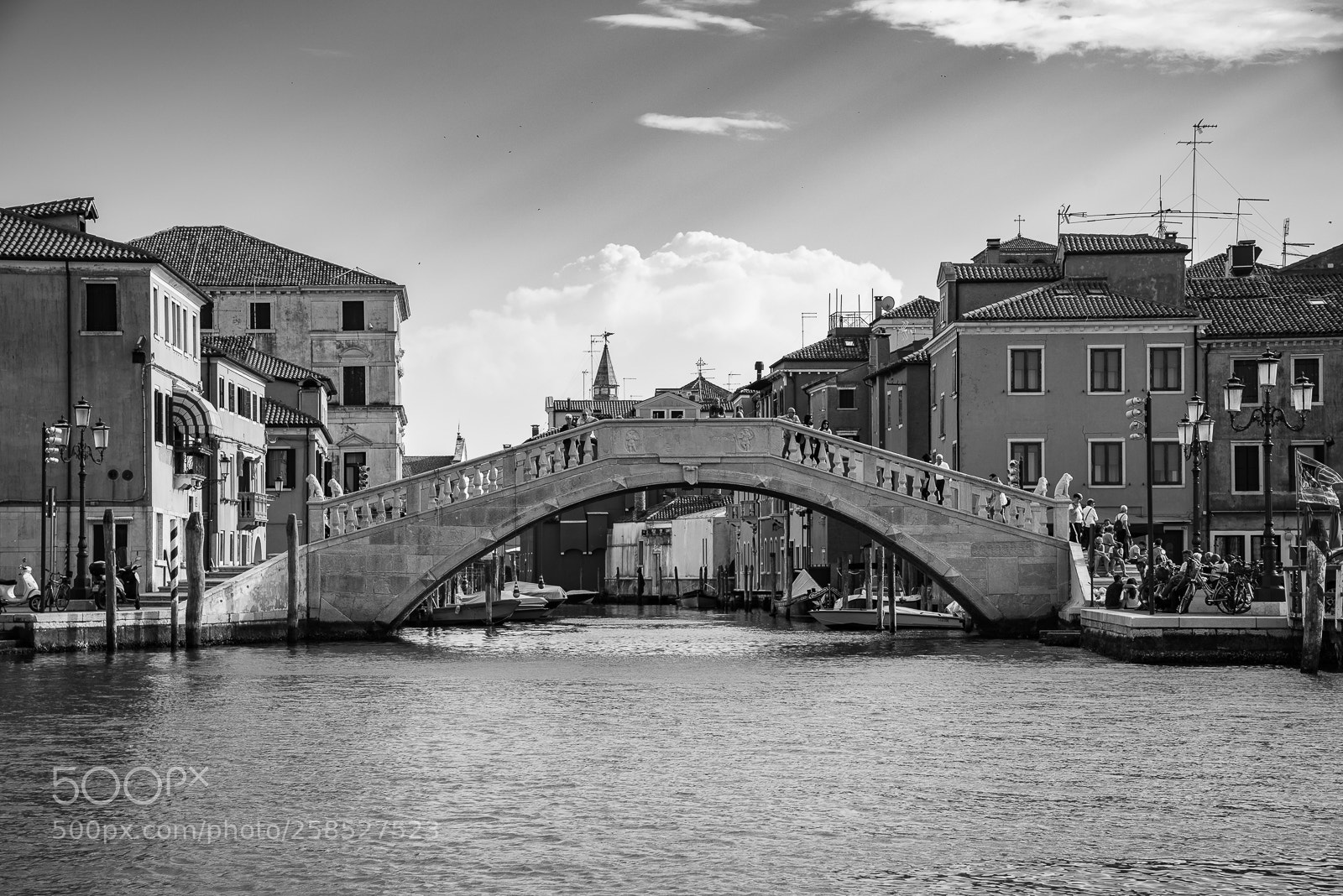 Nikon D750 sample photo. Bridge photography