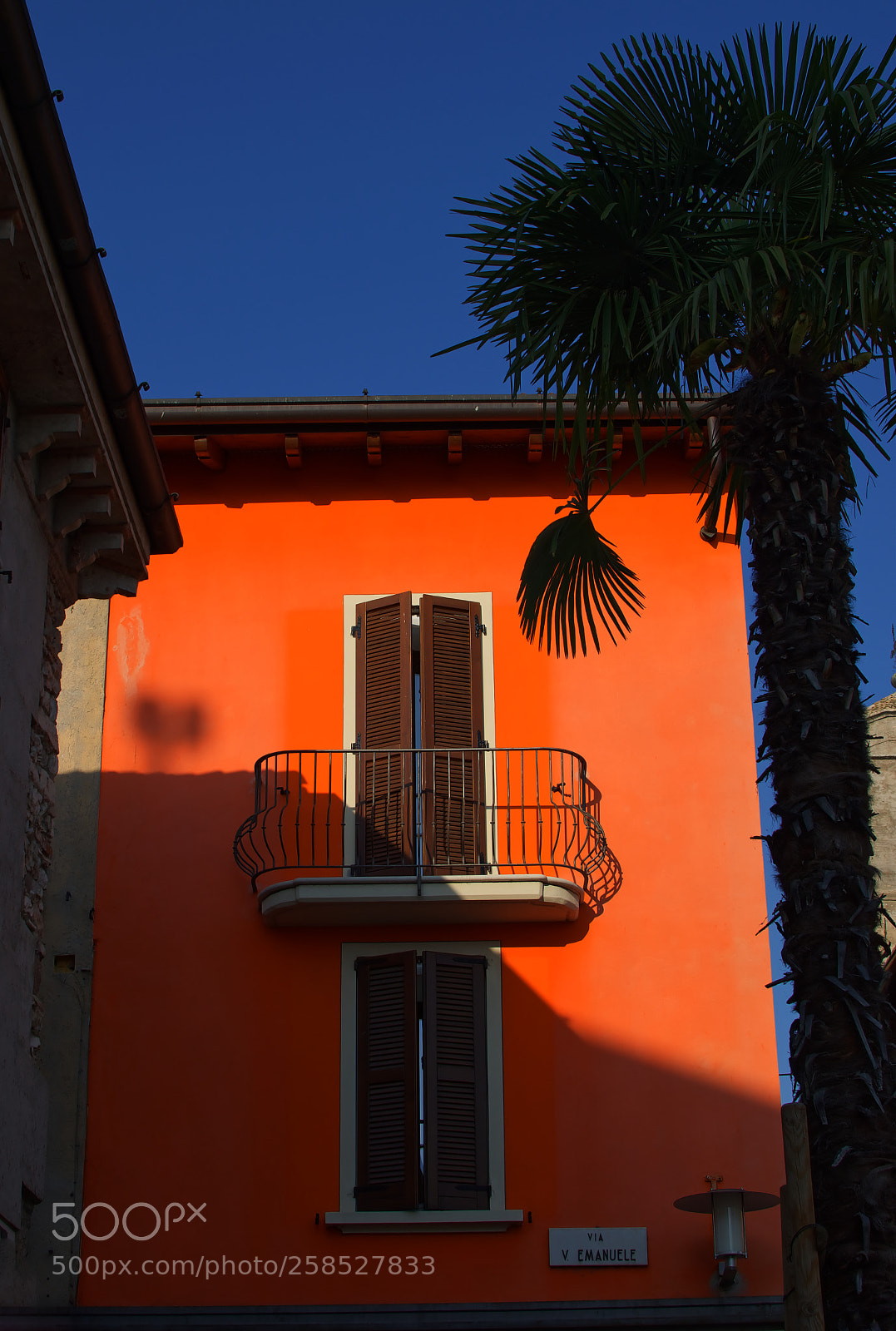 Nikon D5300 sample photo. Contrasts photography