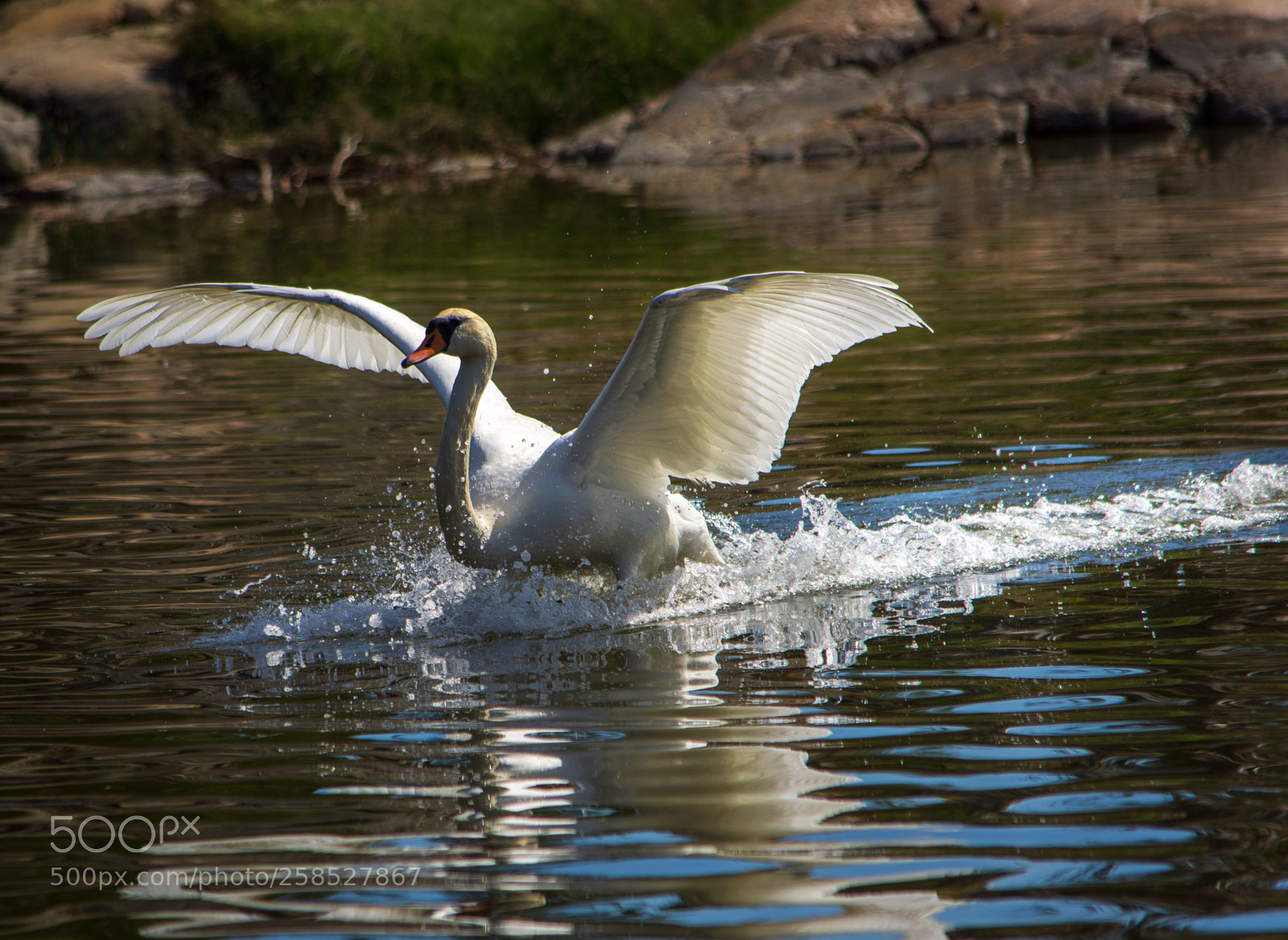 Nikon D7200 sample photo. Landing photography