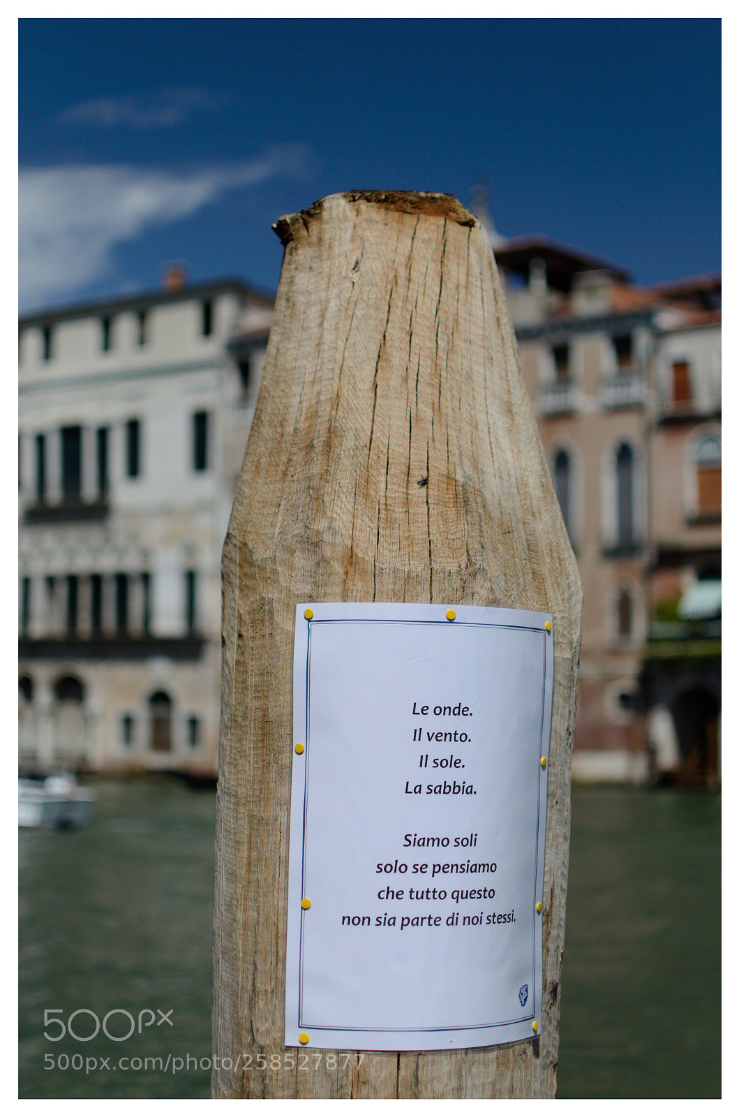 Nikon D5100 sample photo. Untitled photography