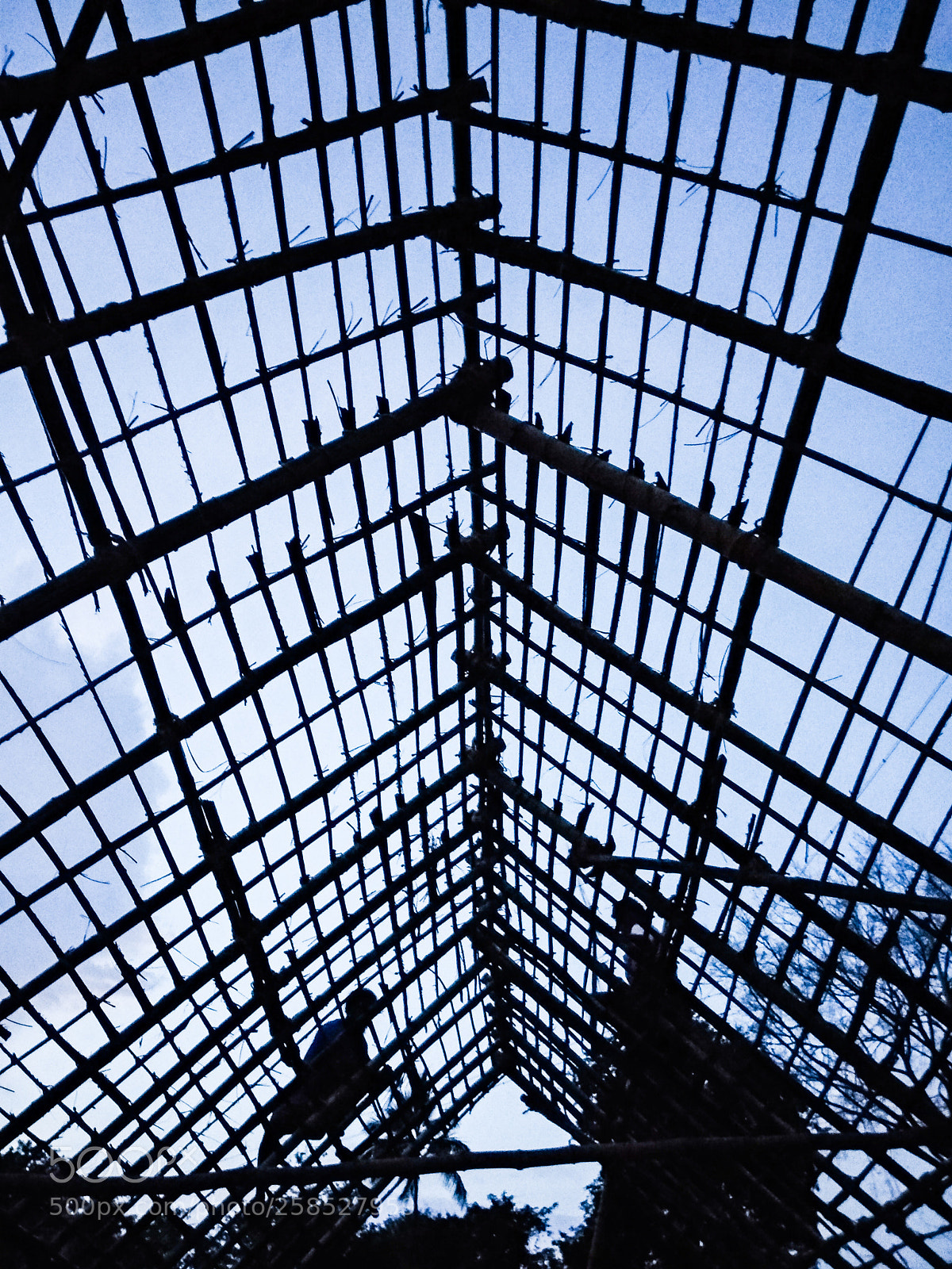 Xiaomi Mi A1 sample photo. Bamboo rafters photography