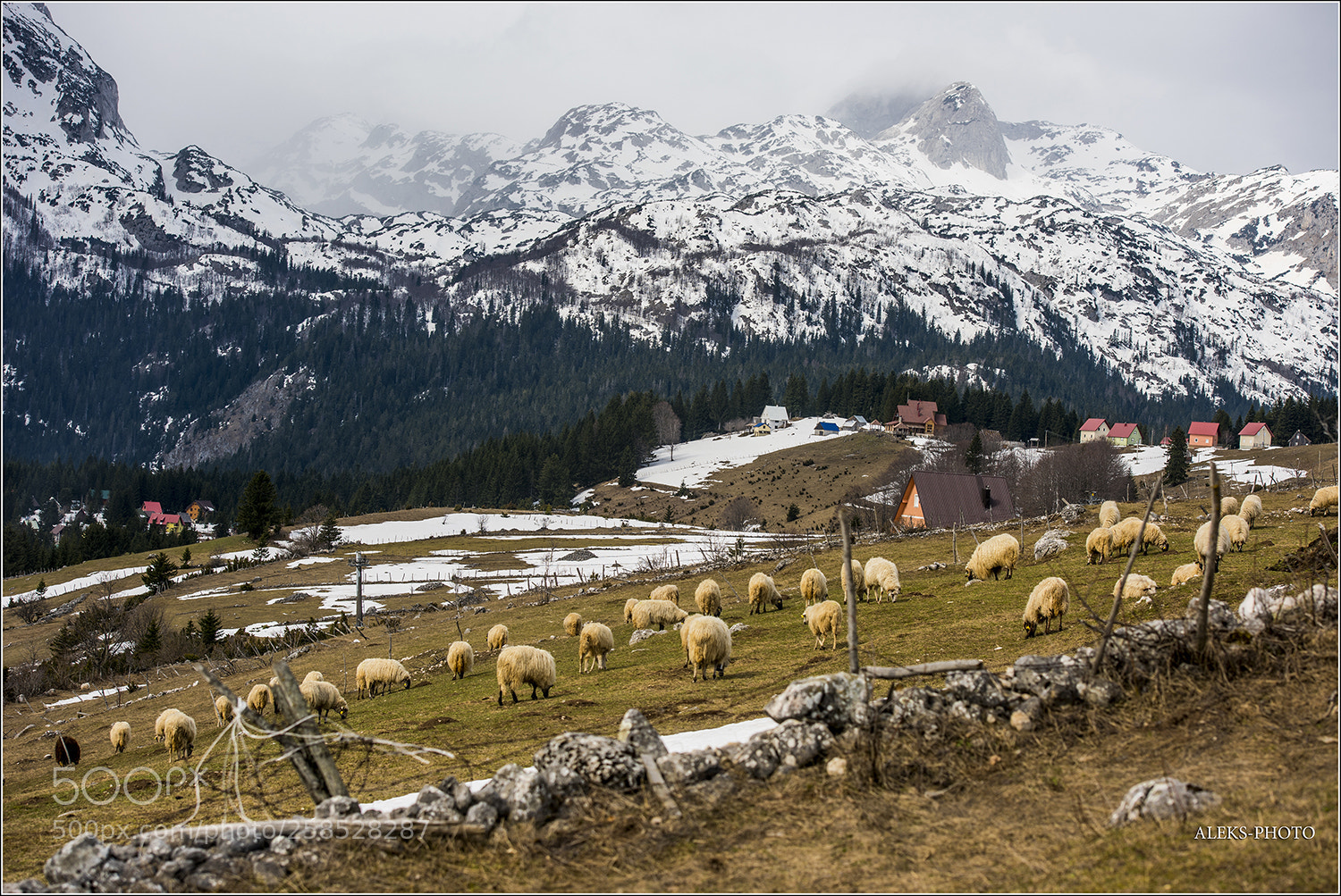 Nikon D810 sample photo. Durmitor (montenegro) photography