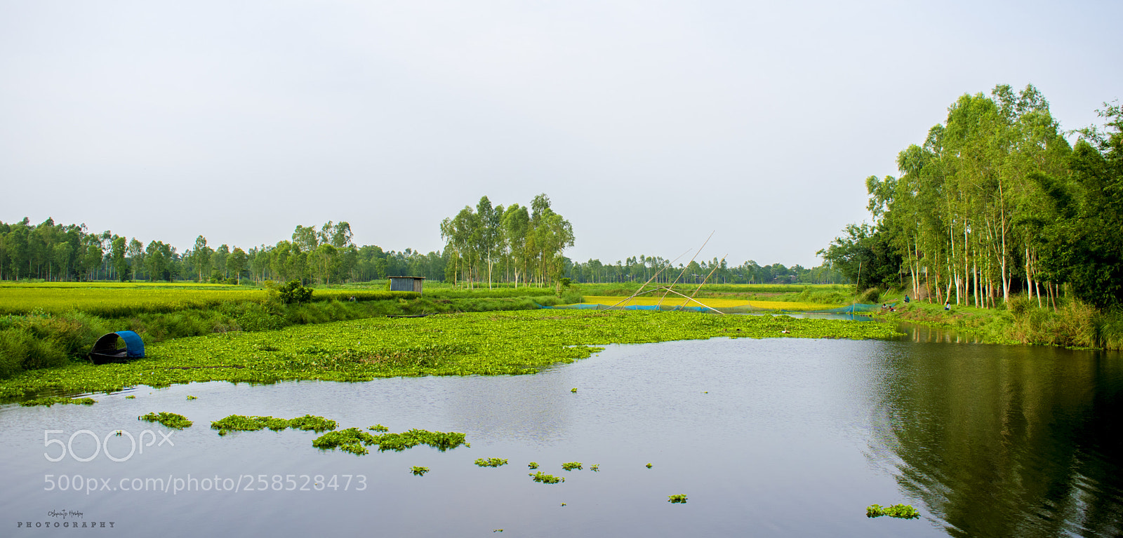 Nikon D5300 sample photo. আমাদের গ্রাম photography