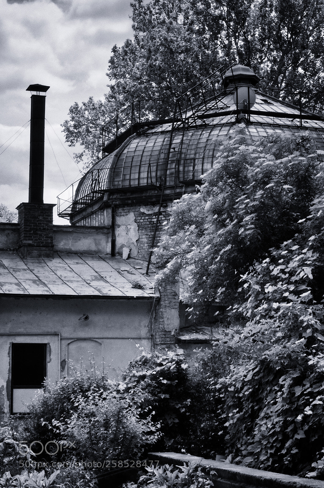 Nikon D90 sample photo. By the old greenhouse photography