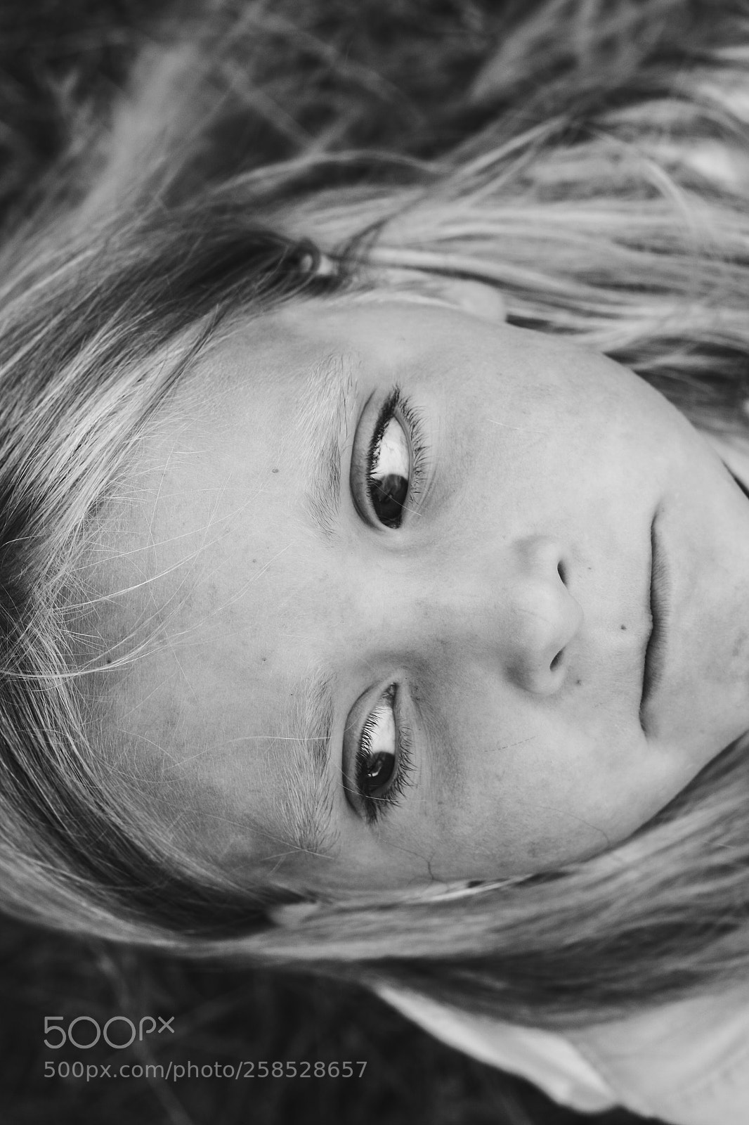 Canon EOS 40D sample photo. Img photography