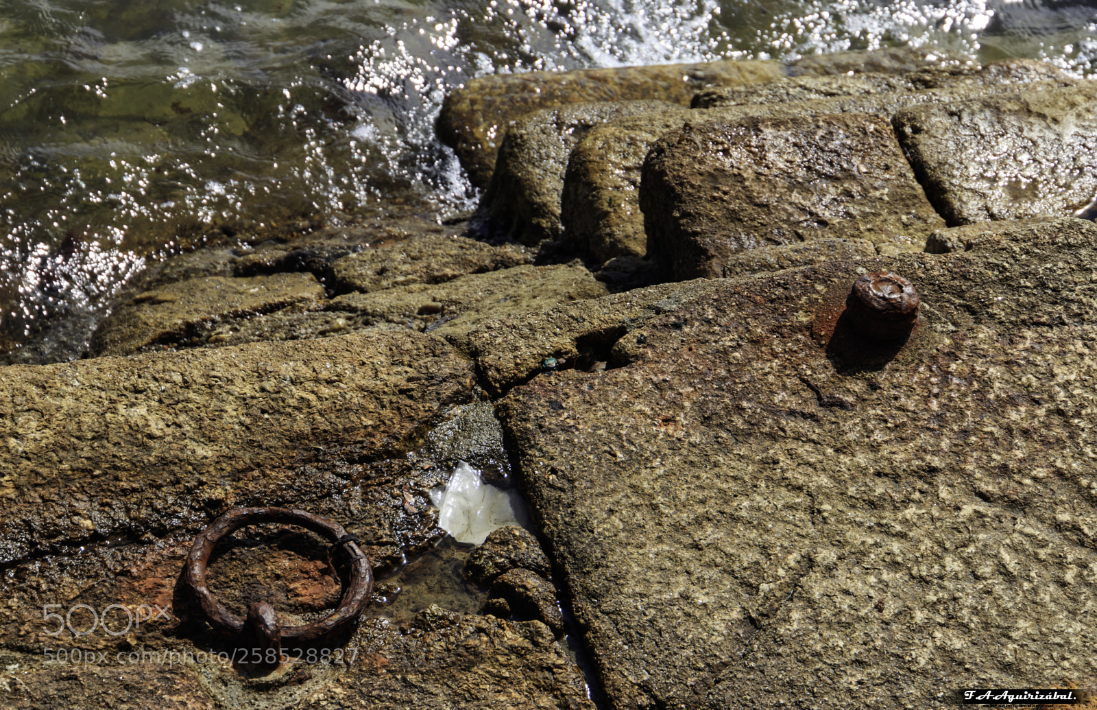 Canon EOS 77D (EOS 9000D / EOS 770D) sample photo. Firmado photography