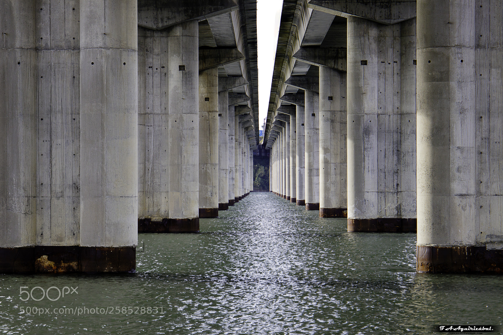 Canon EOS 77D (EOS 9000D / EOS 770D) sample photo. Firmado photography
