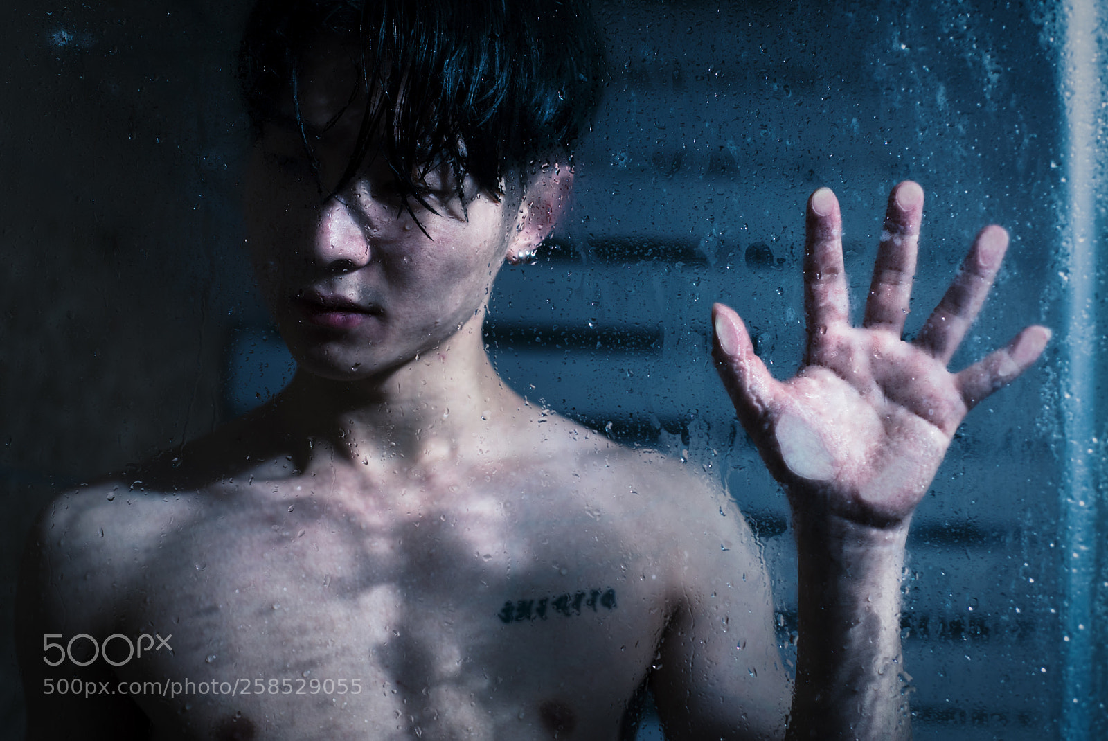 Nikon D750 sample photo. Untitled photography