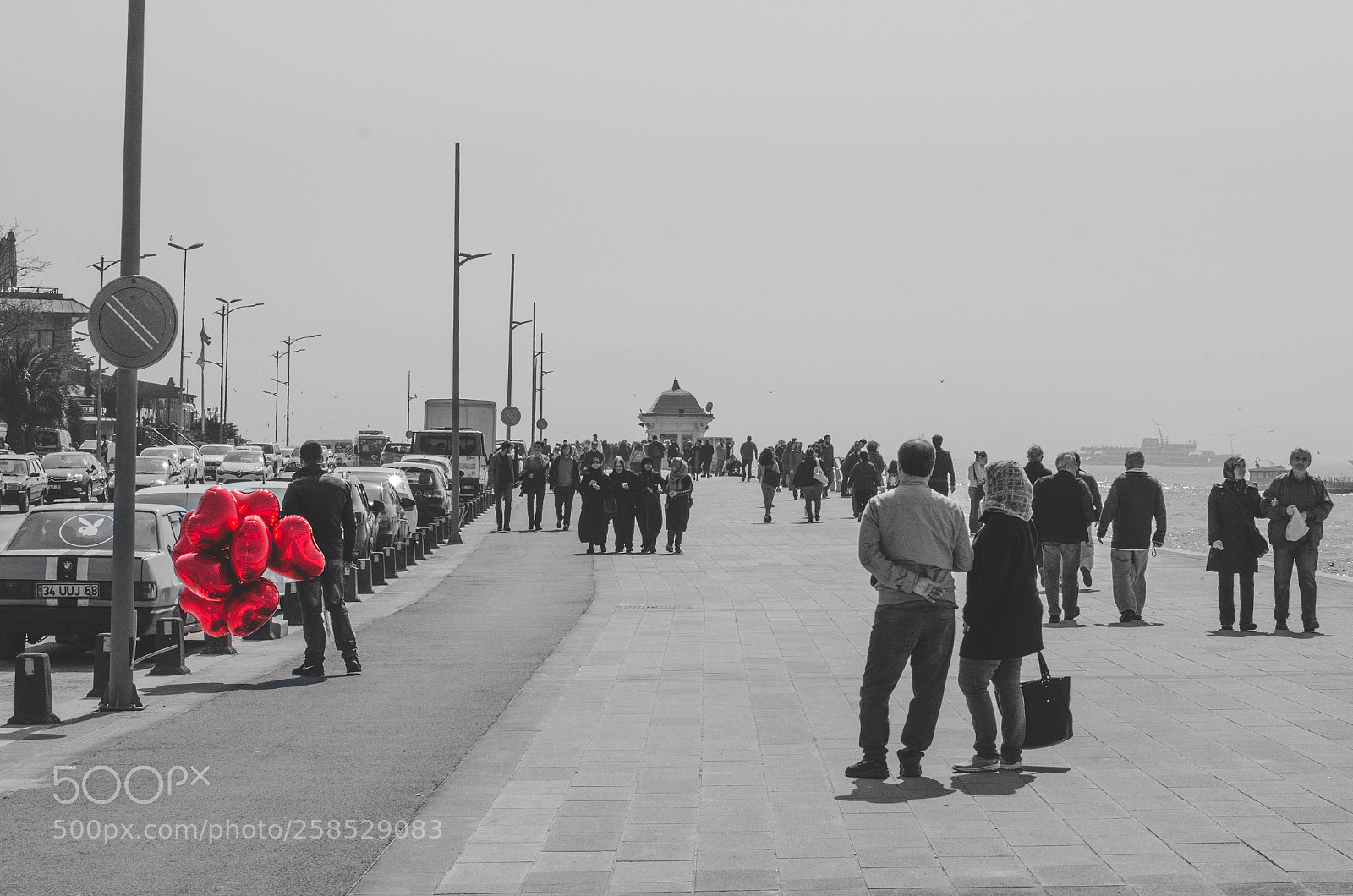 Nikon D7000 sample photo. Red photography
