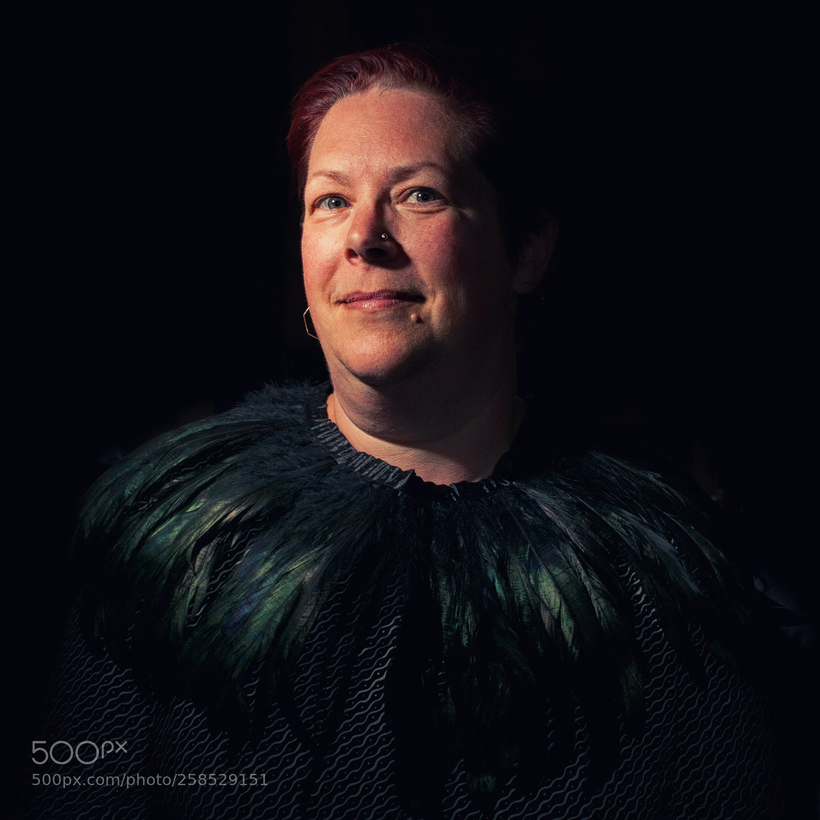 Nikon D700 sample photo. Feathers and furbelows photography