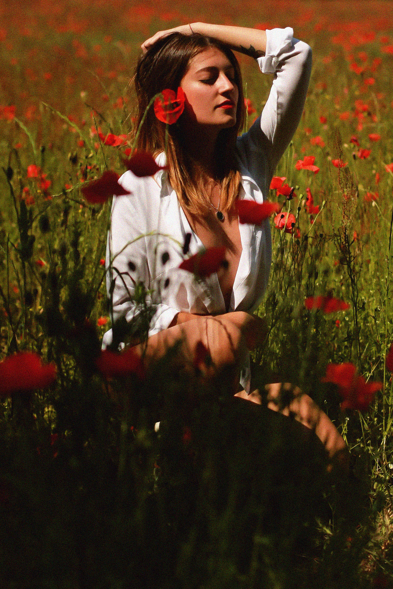 Canon EOS-1D Mark III sample photo. Sun. photography