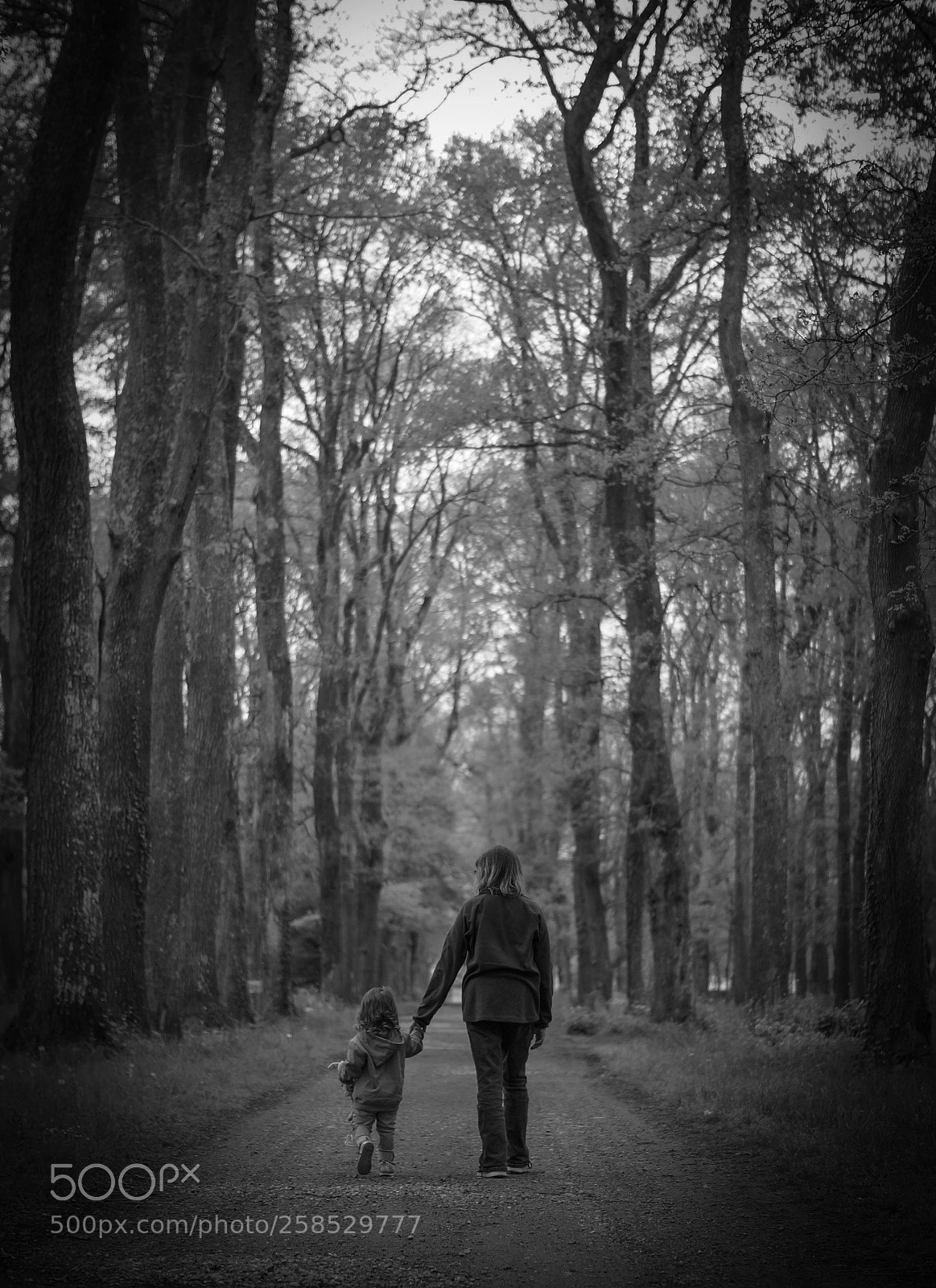Sony SLT-A57 sample photo. Maman ! photography