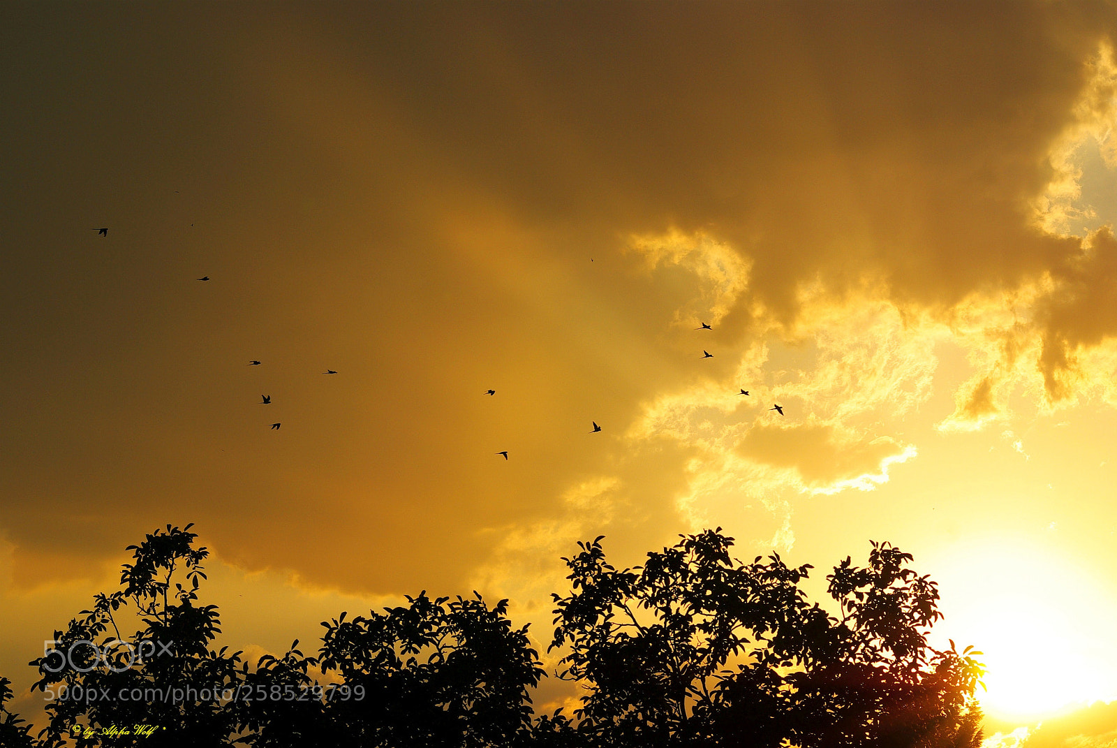 Pentax K10D sample photo. Sunset photography
