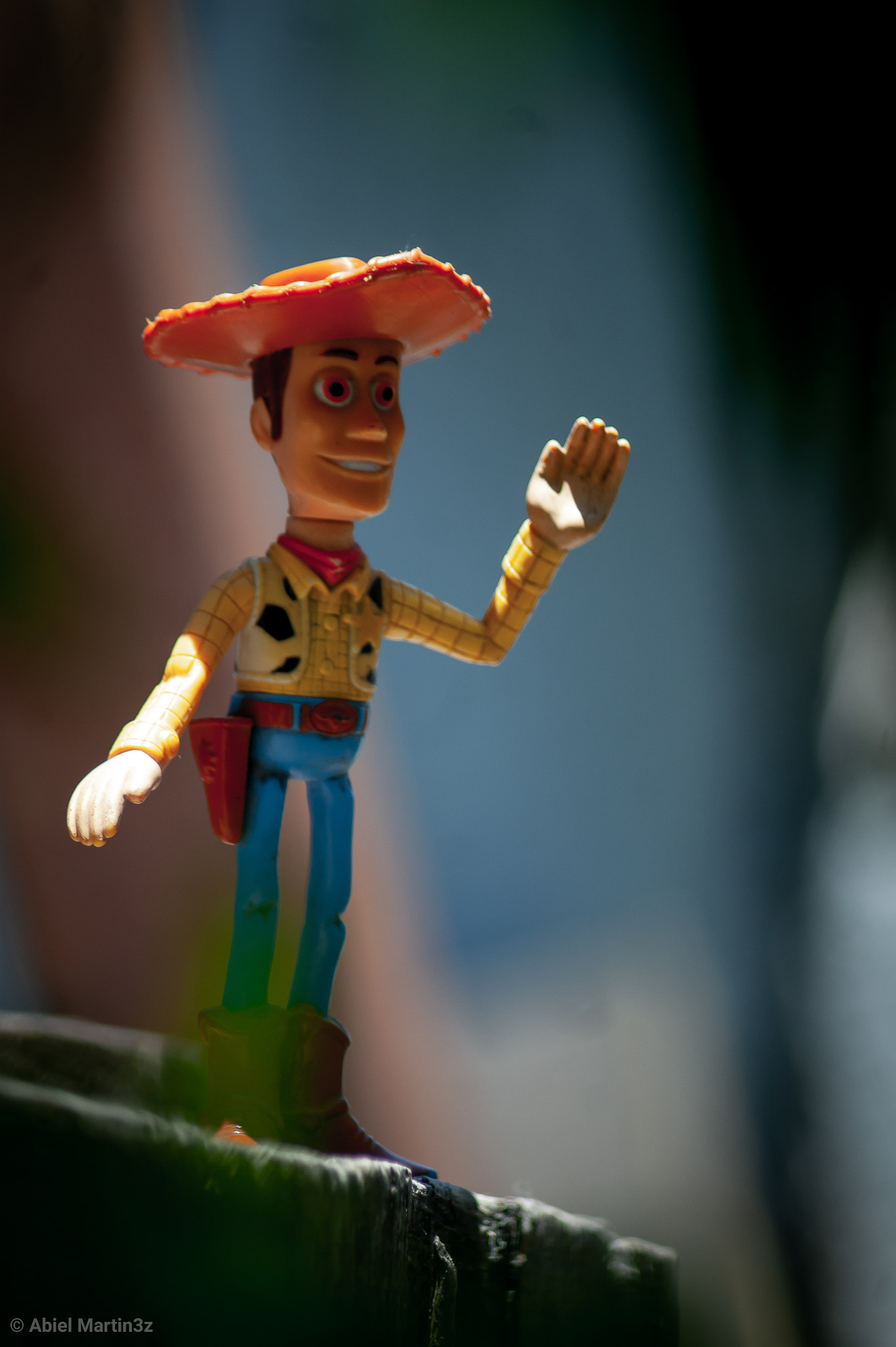 Sony Alpha DSLR-A290 sample photo. Toy story photography