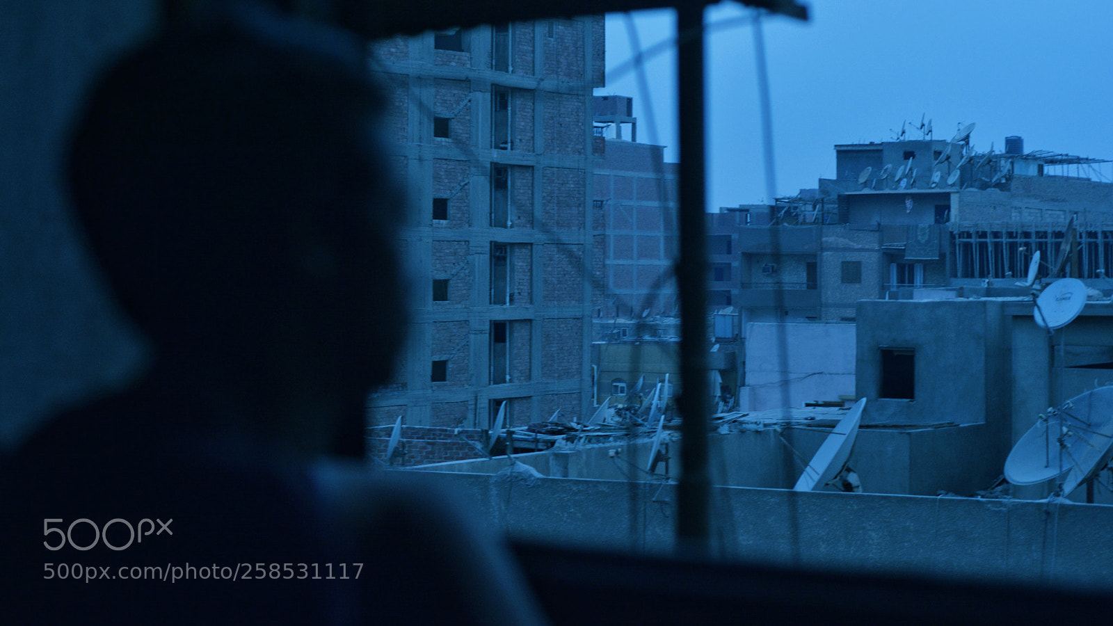 Nikon D5200 sample photo. Lll photography