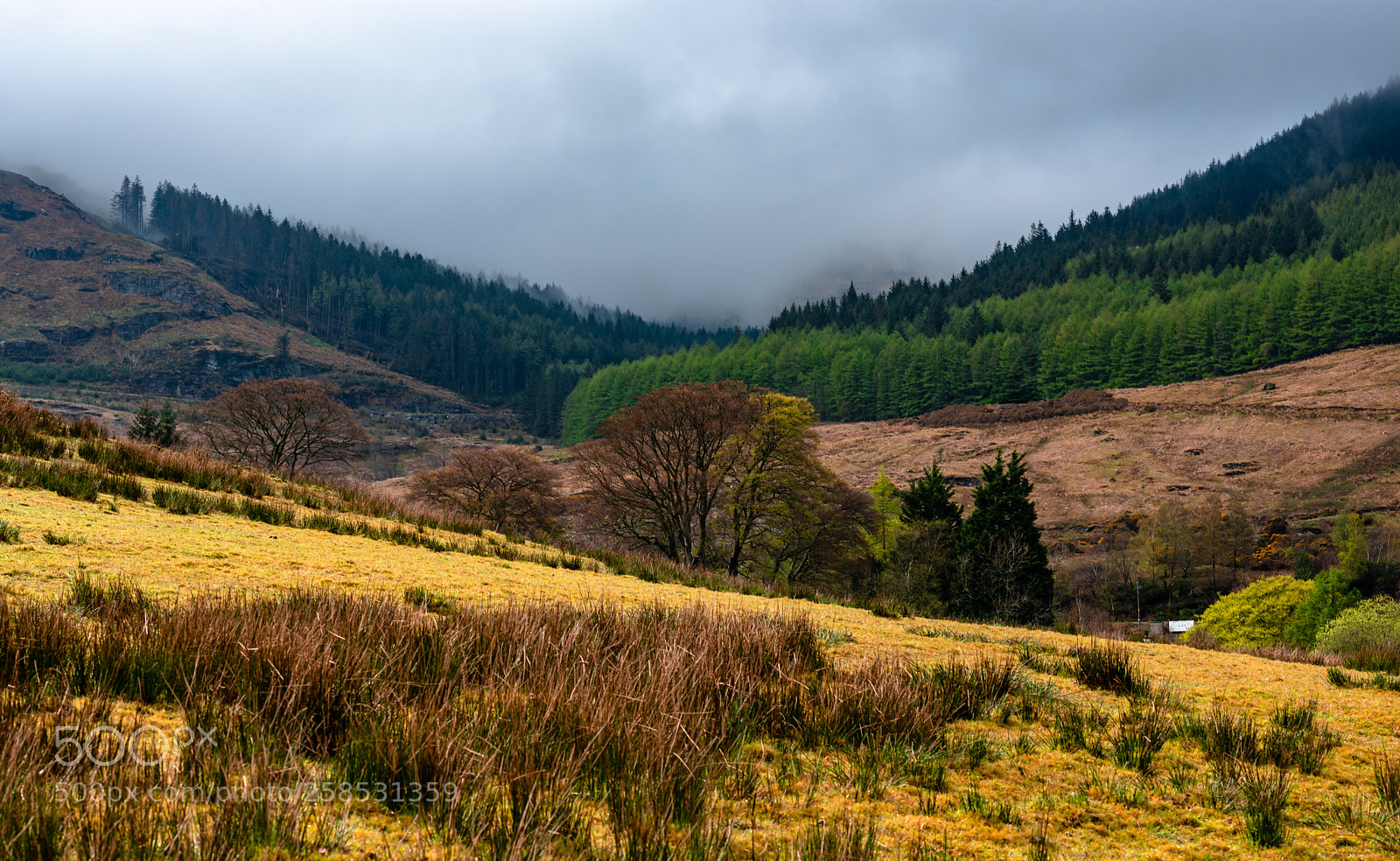 Nikon D750 sample photo. Scottish highlands photography