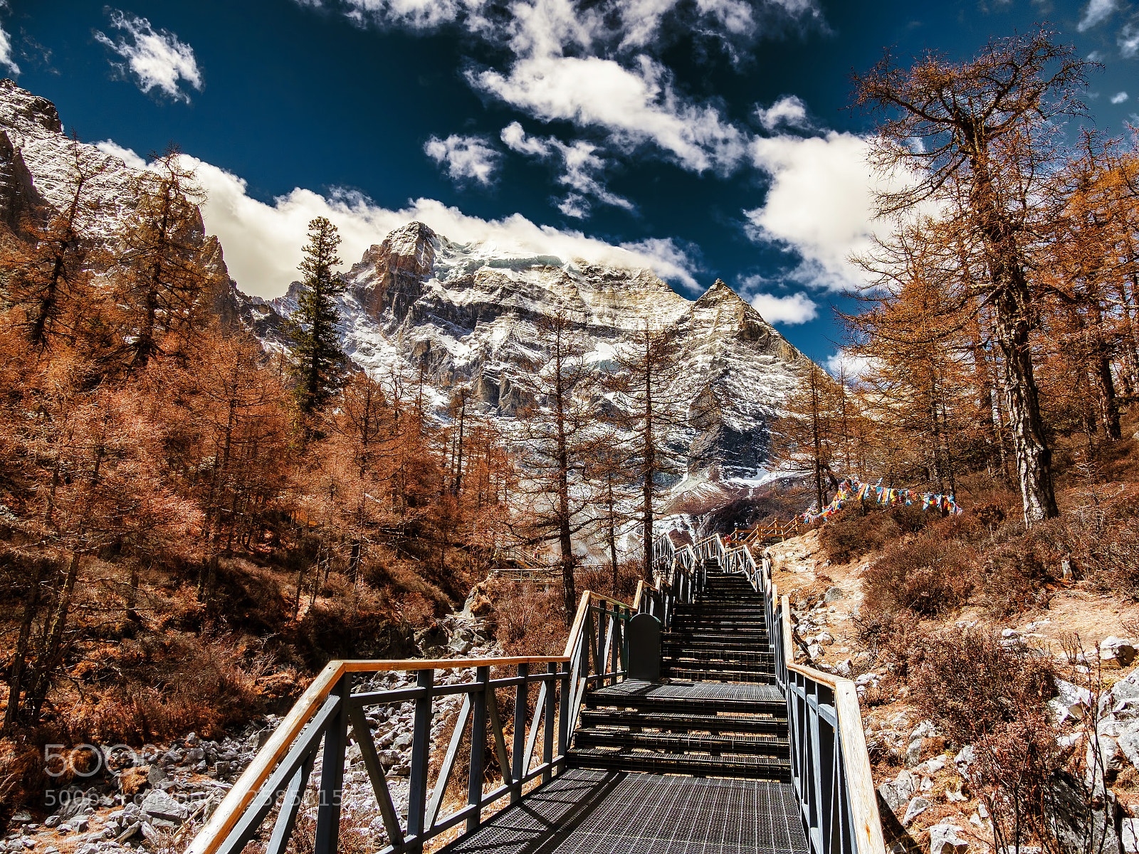 Olympus OM-D E-M1 Mark II sample photo. Yading nature reserve of photography
