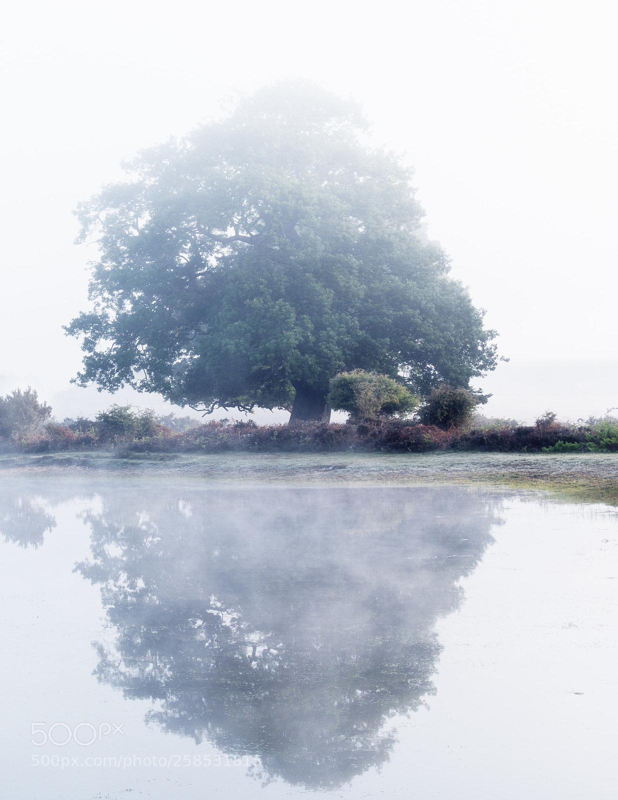 Nikon D7200 sample photo. Misty reflections photography