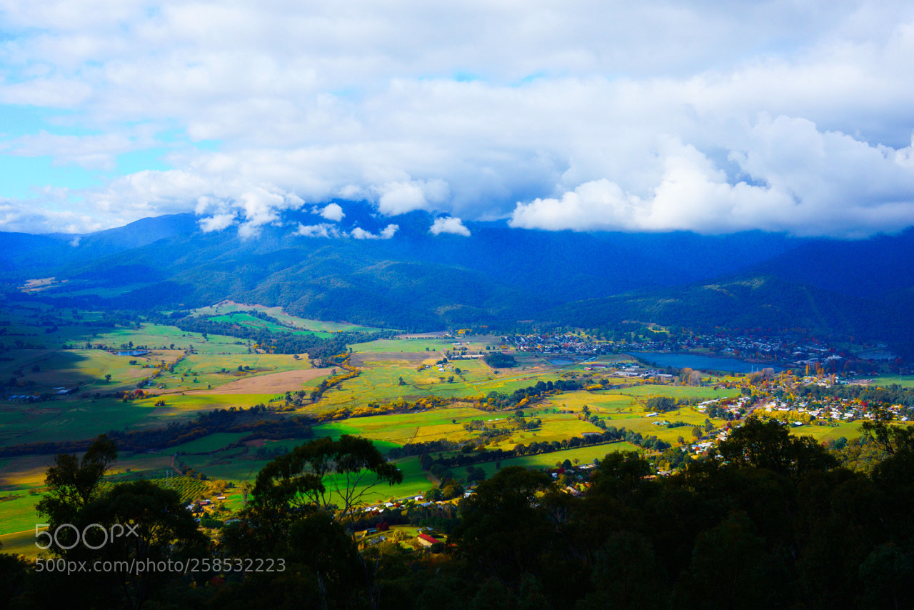 Sony a7R II sample photo. Dsc photography