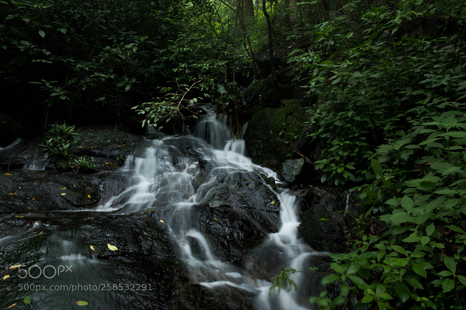 Canon EOS 7D Mark II sample photo. Wild stream photography