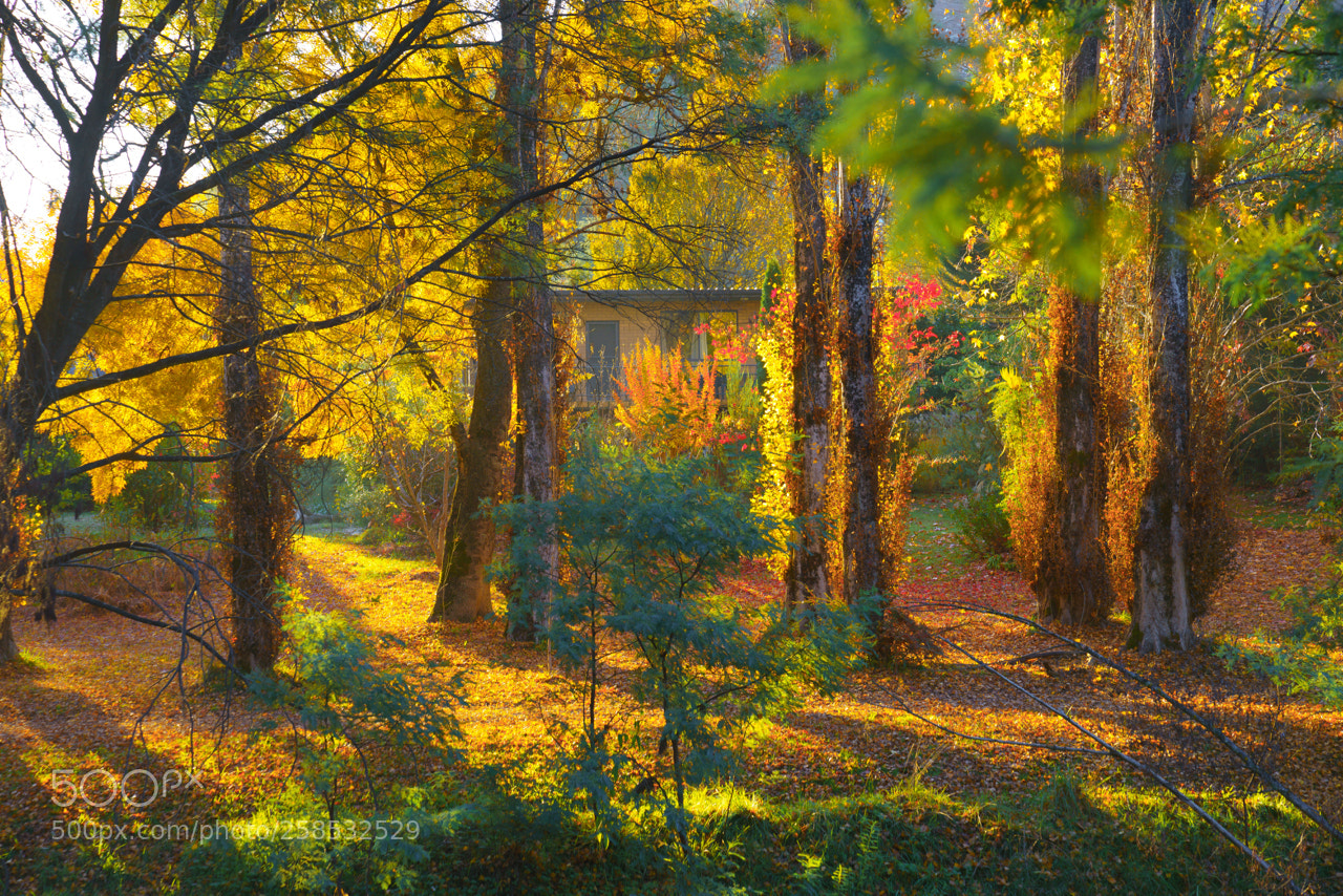 Sony a7R II sample photo. Dsc photography