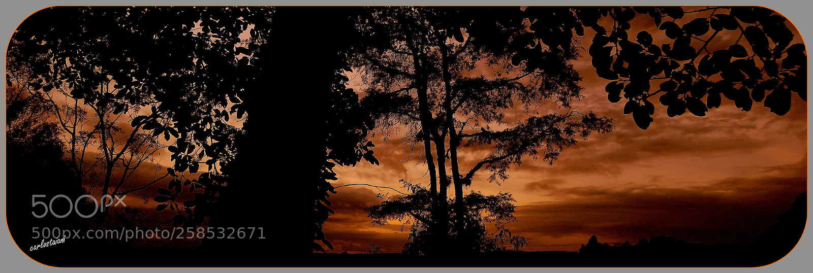Canon PowerShot SX60 HS sample photo. New day ..... photography