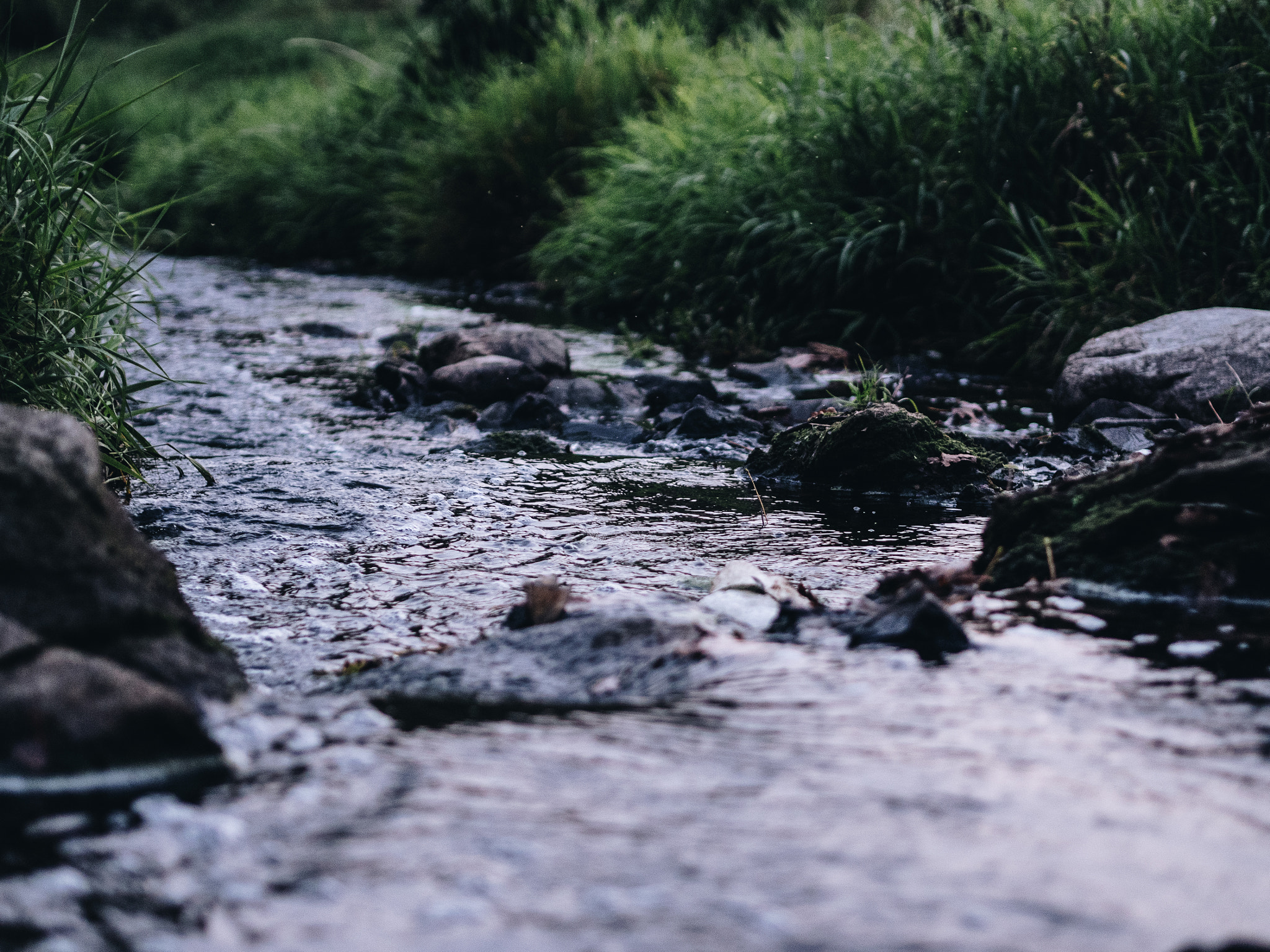 Olympus PEN E-PL8 sample photo. Floating photography
