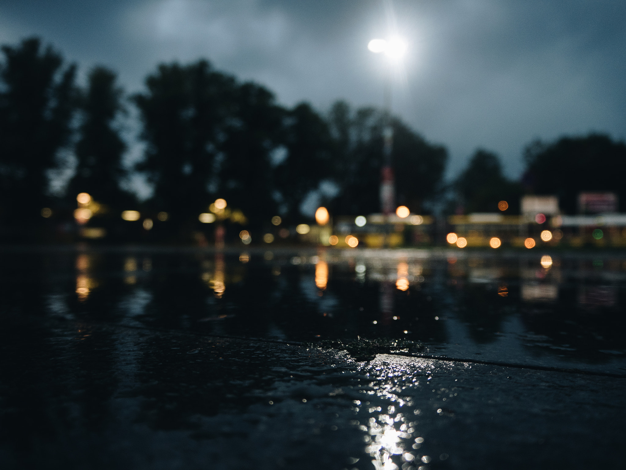 Olympus PEN E-PL8 sample photo. Lucky one photography