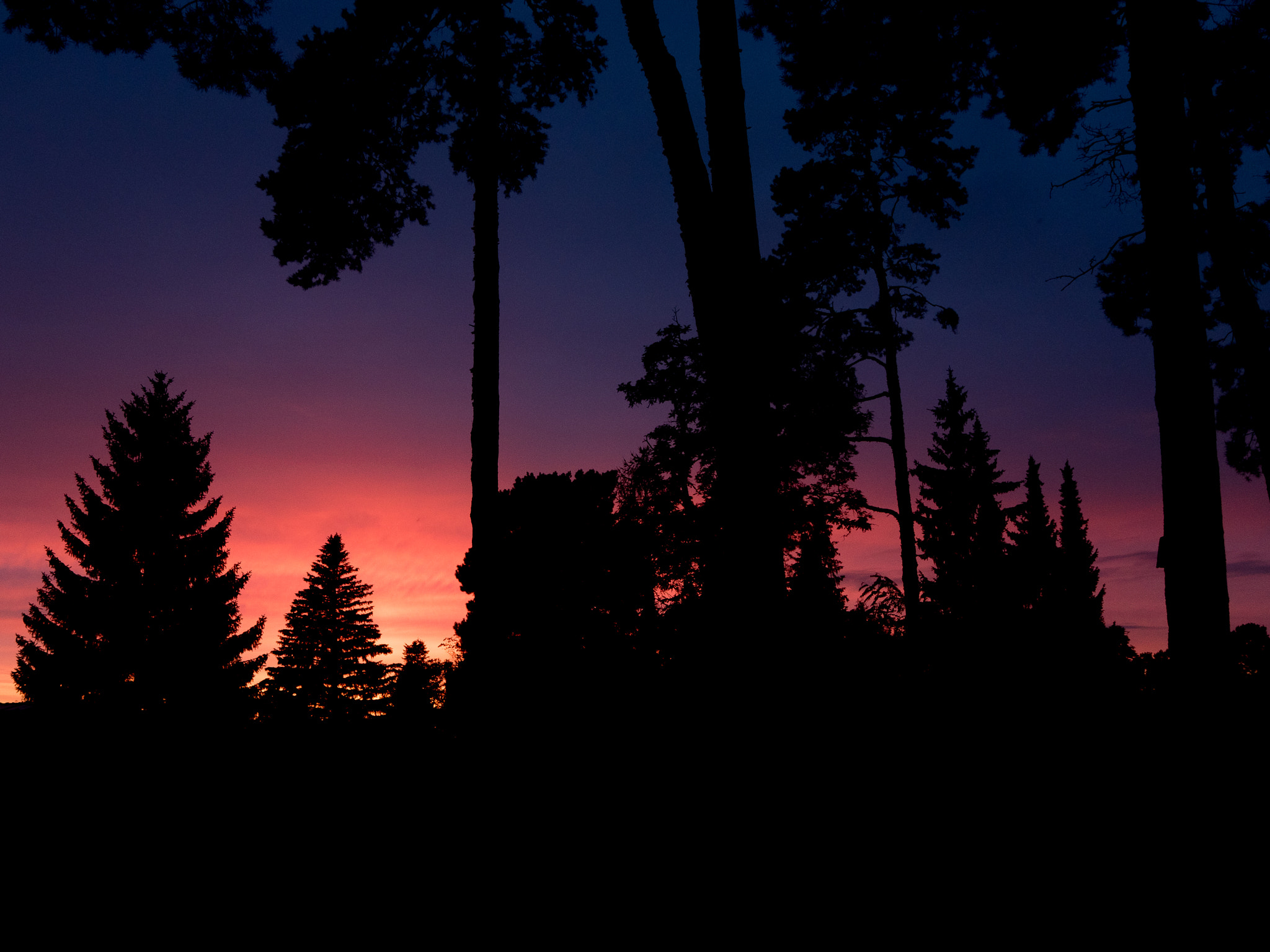 Olympus PEN E-PL8 sample photo. Max drama sunset photography