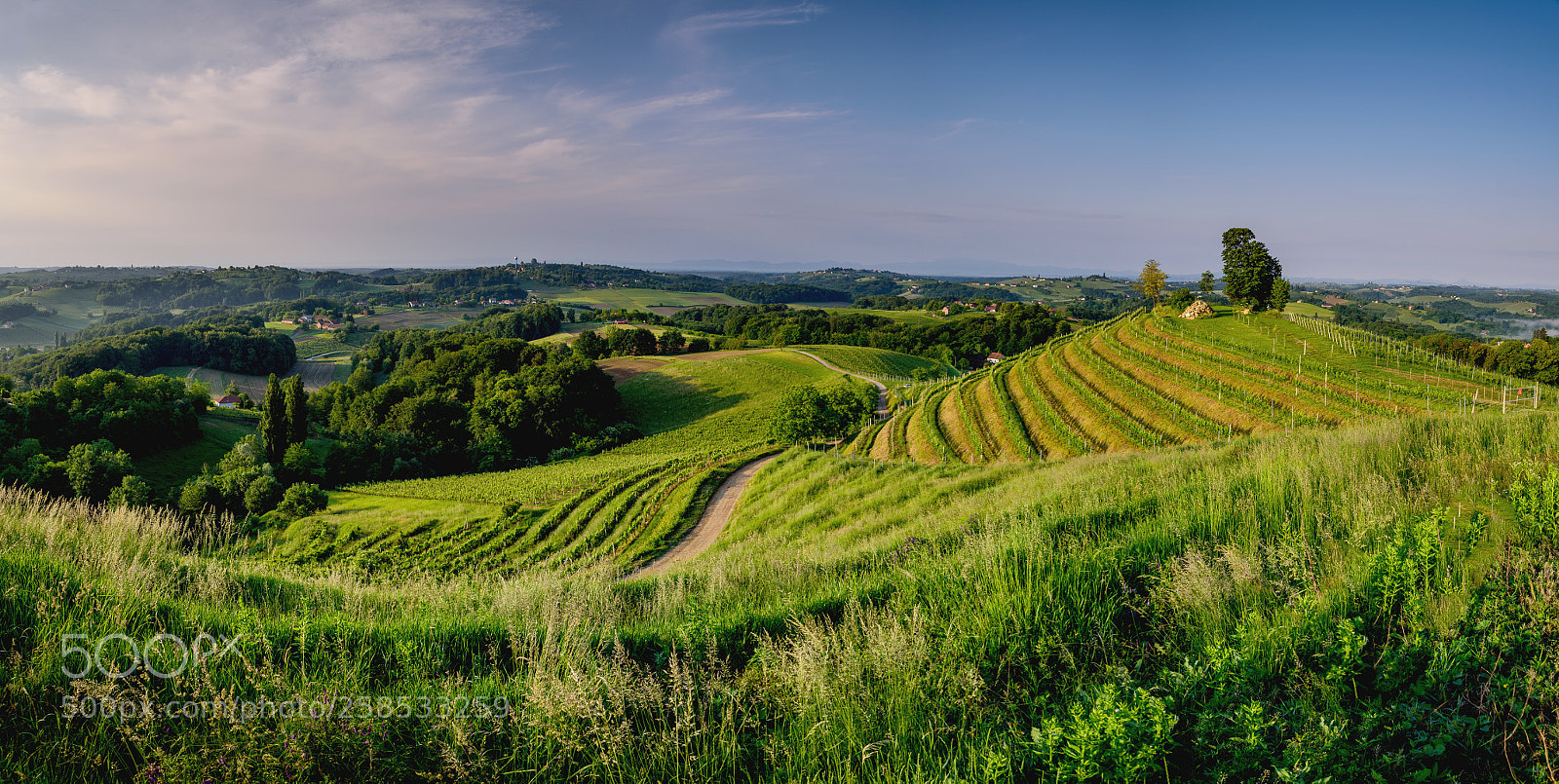 Nikon D750 sample photo. Sunrise in medjimurje photography