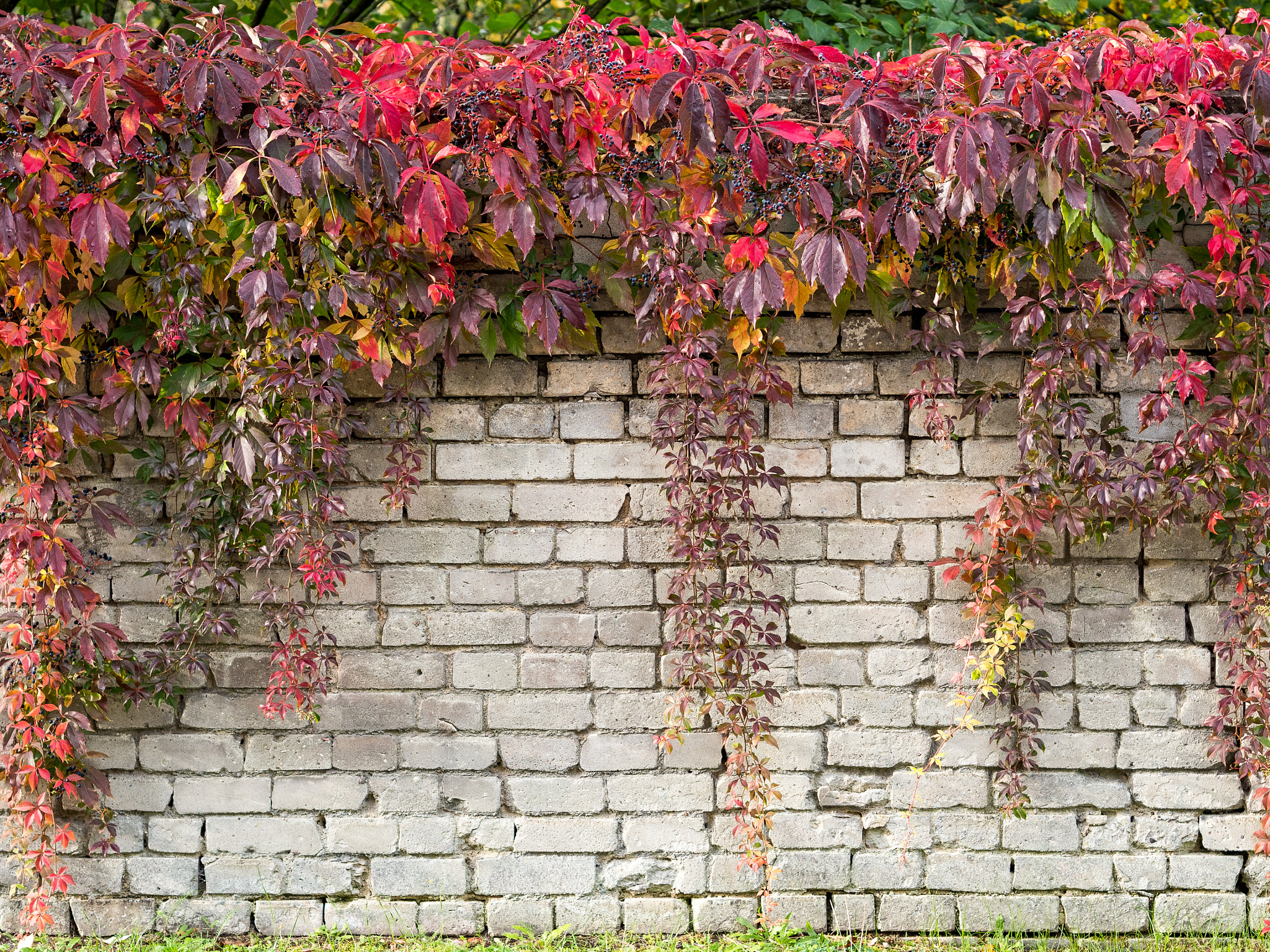 Olympus PEN E-PL8 sample photo. Takeover photography