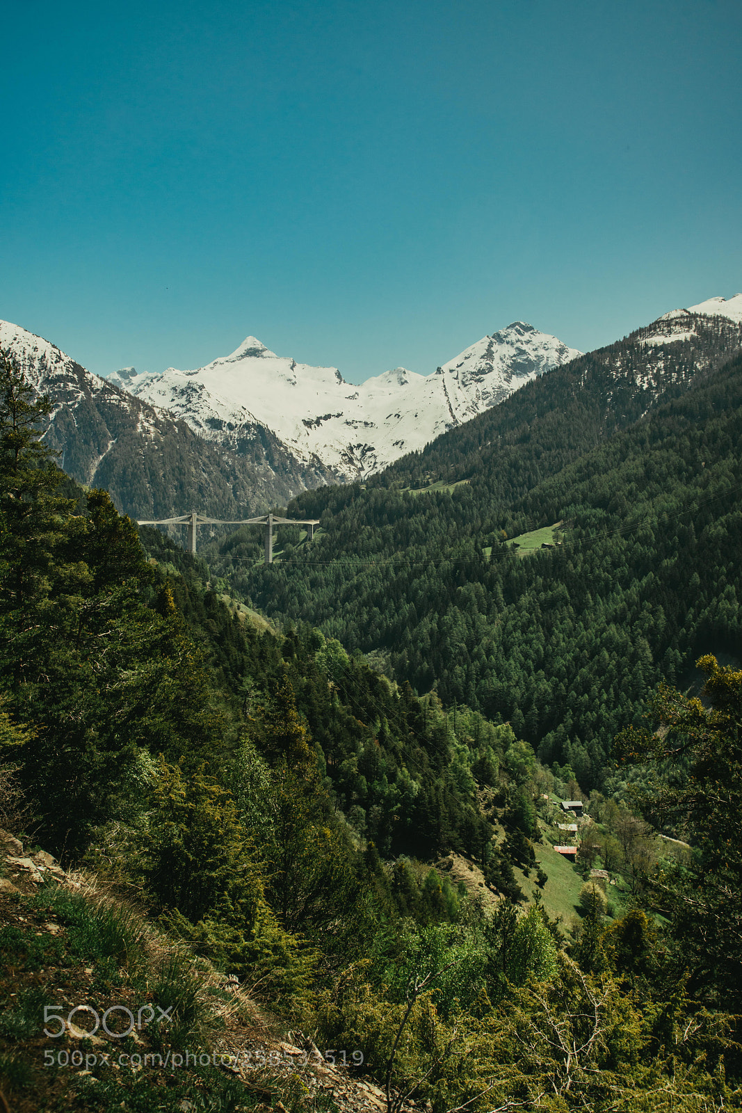 Sony a7R II sample photo. Untitled photography