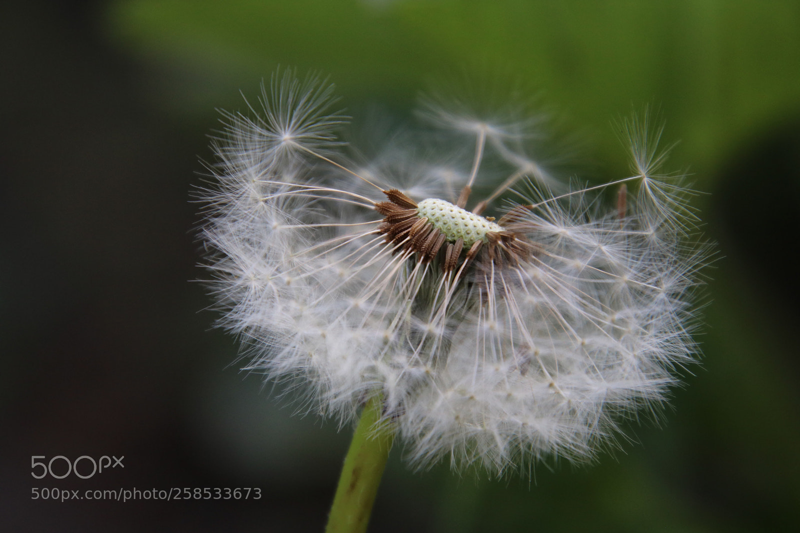 Canon EOS 750D (EOS Rebel T6i / EOS Kiss X8i) sample photo. Lonely photography
