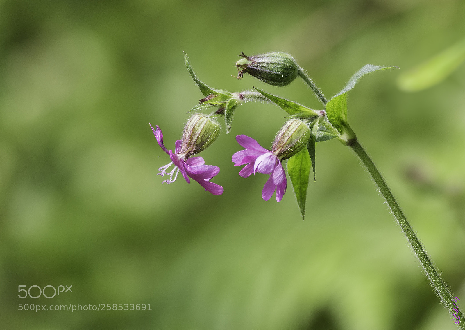 Nikon D7200 sample photo. Tiempo de... photography