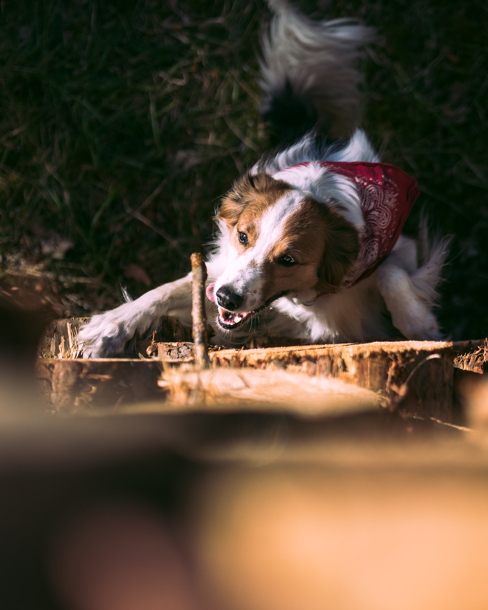 Olympus PEN E-PL8 sample photo. My love photography