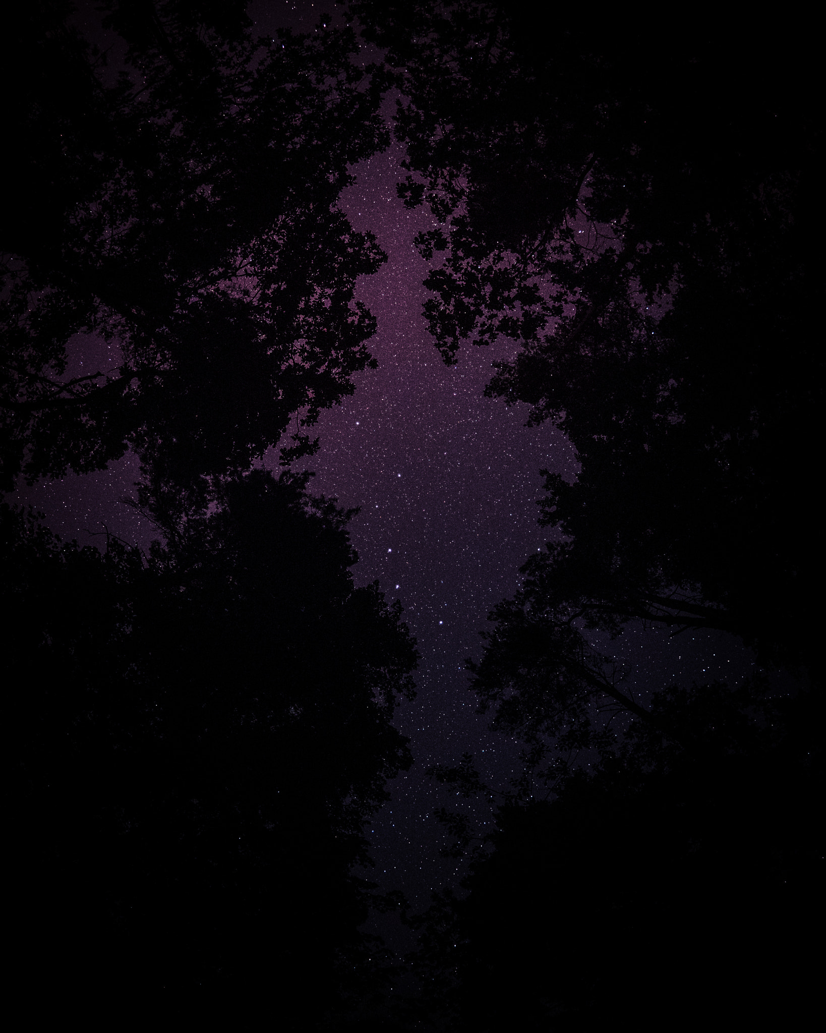 Olympus PEN E-PL8 sample photo. Night sky photography