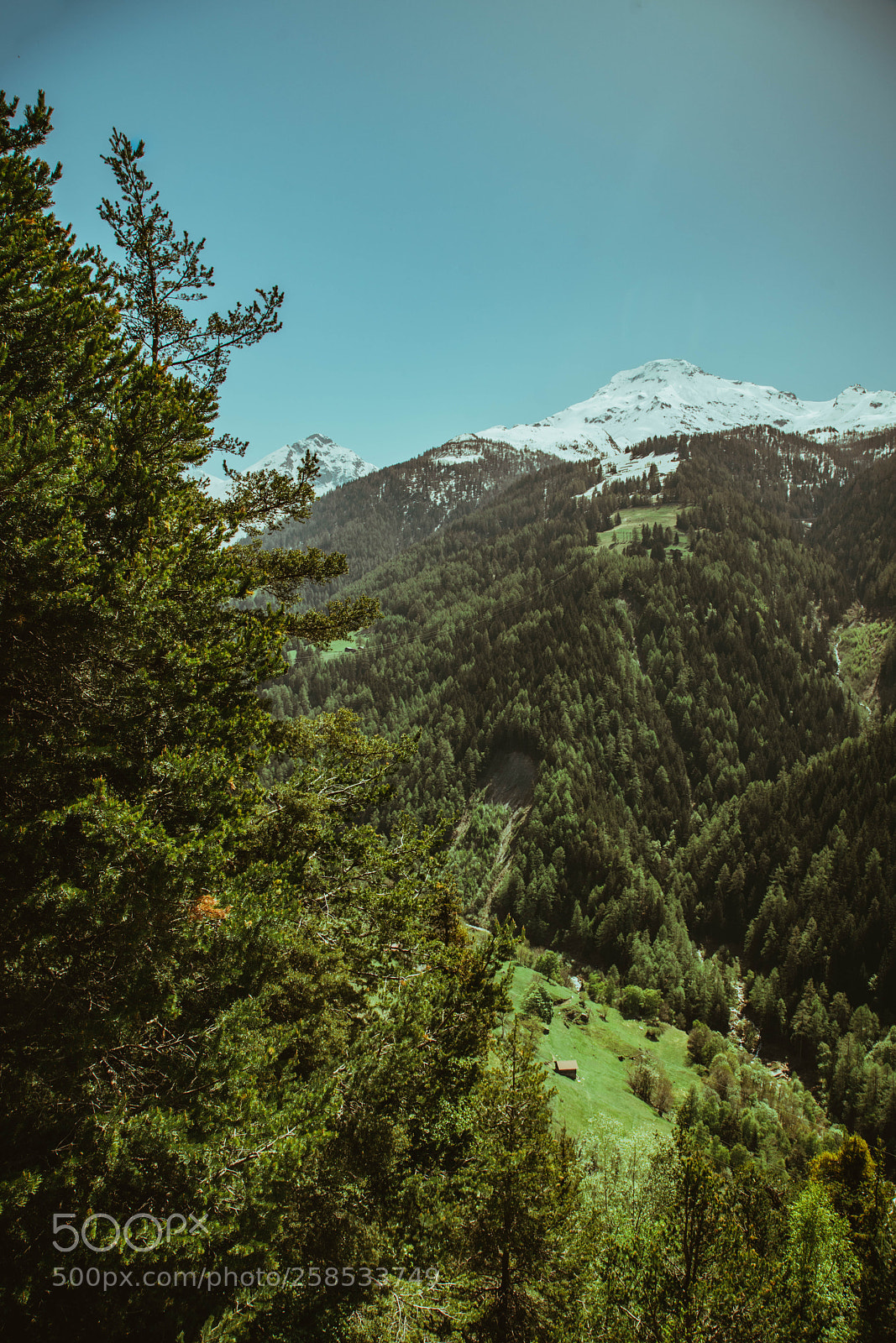 Sony a7R II sample photo. Untitled photography