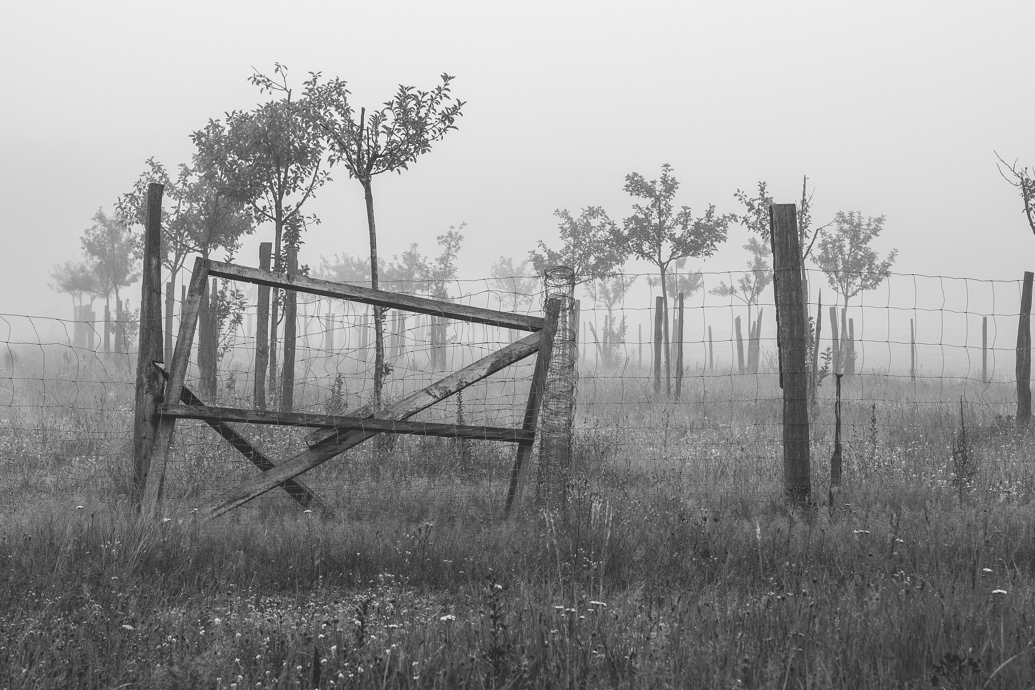 Olympus PEN E-PL8 sample photo. Abandoned photography