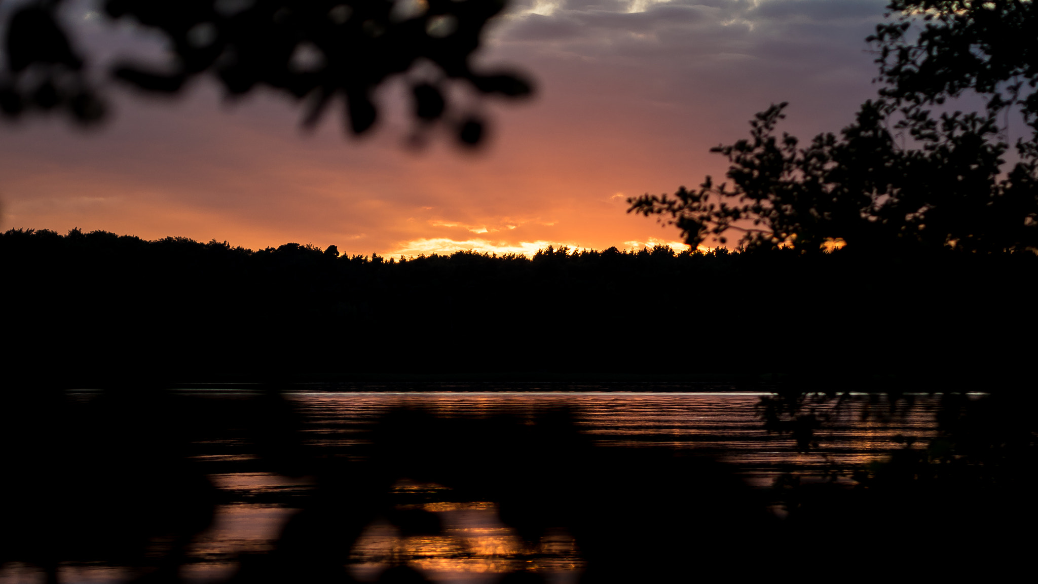 Olympus PEN E-PL8 sample photo. Werbellinsee photography