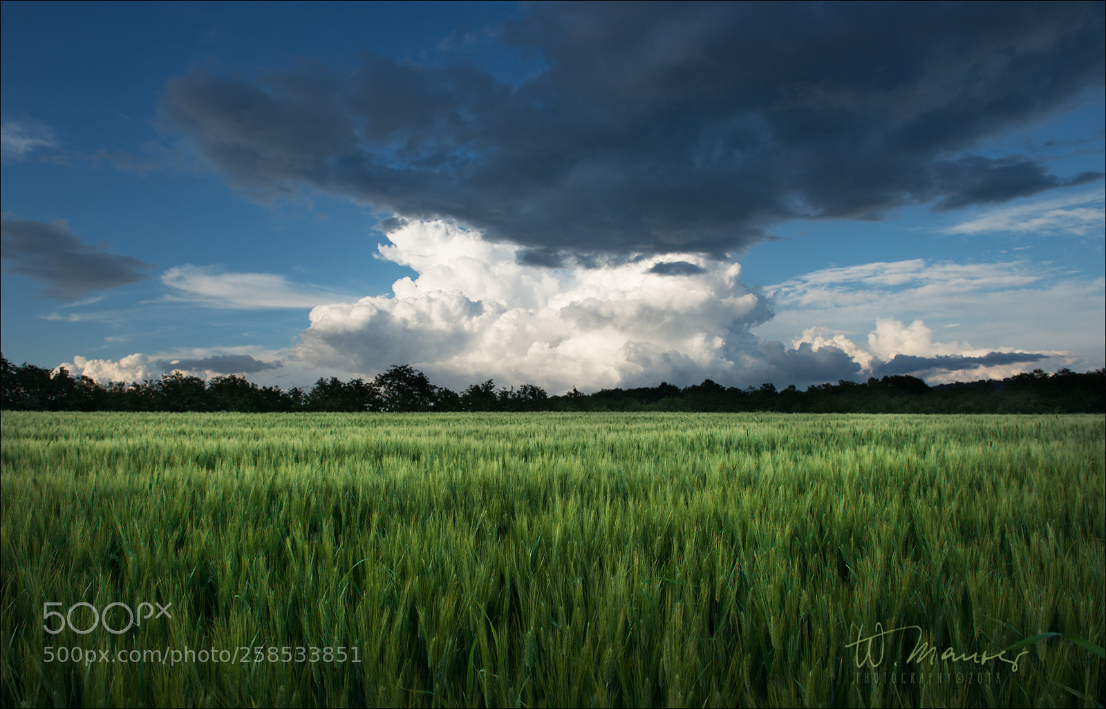 Nikon D800 sample photo. Tuscany sky photography