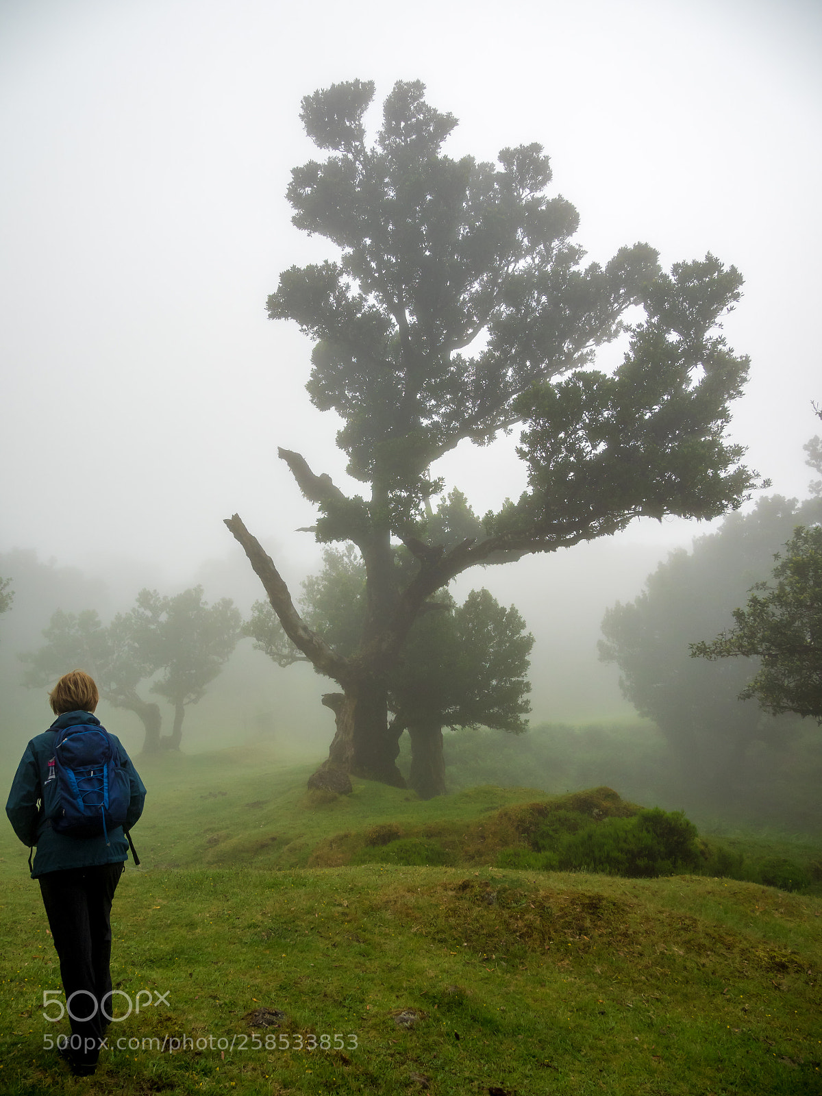 Olympus OM-D E-M1 sample photo. In the clouds photography