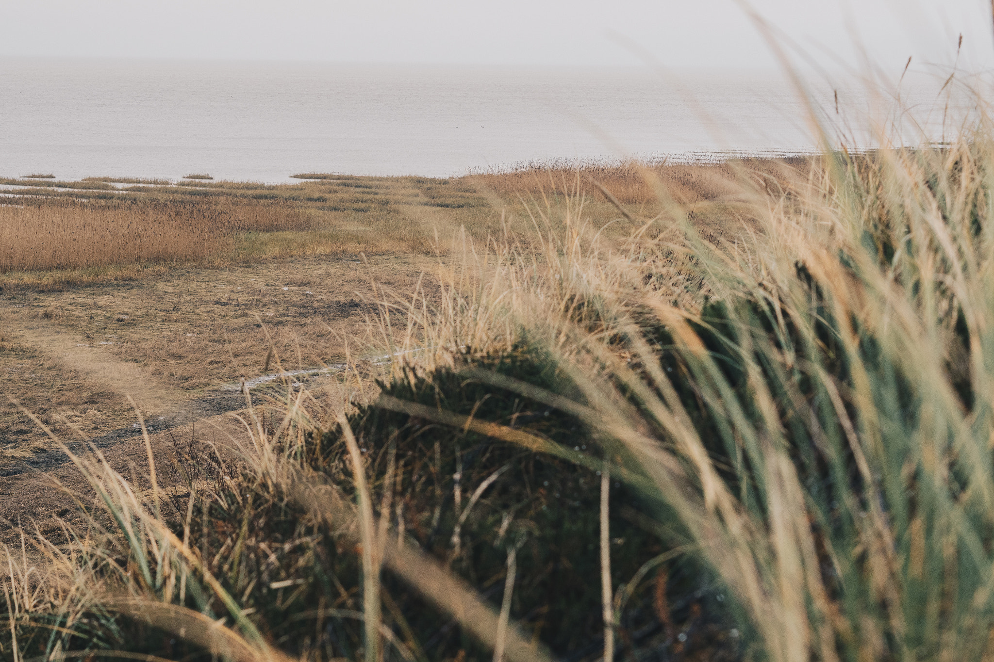 Olympus PEN E-PL8 sample photo. Sylt, morsum kliff photography