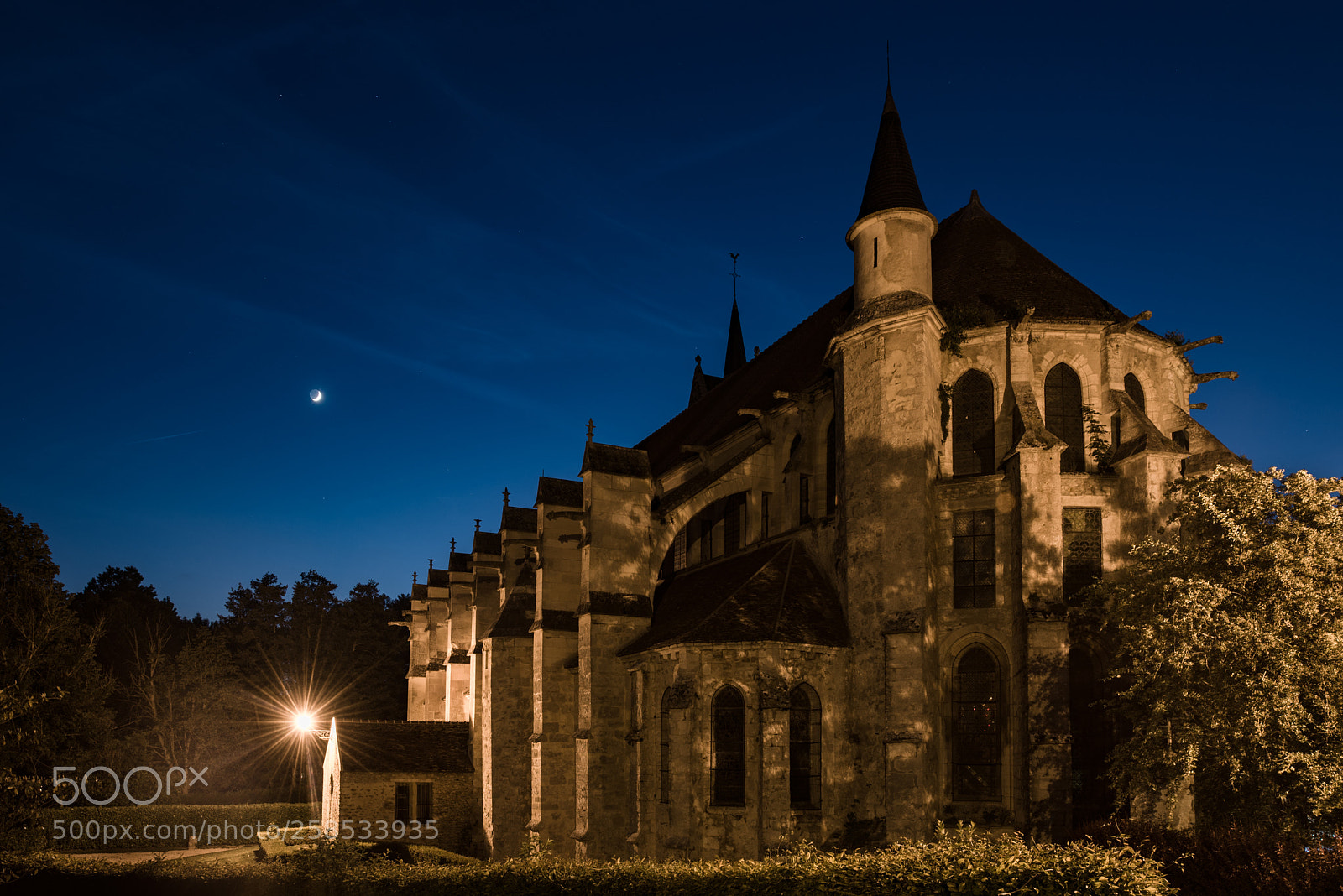 Nikon D750 sample photo. Coll giale crecy la photography