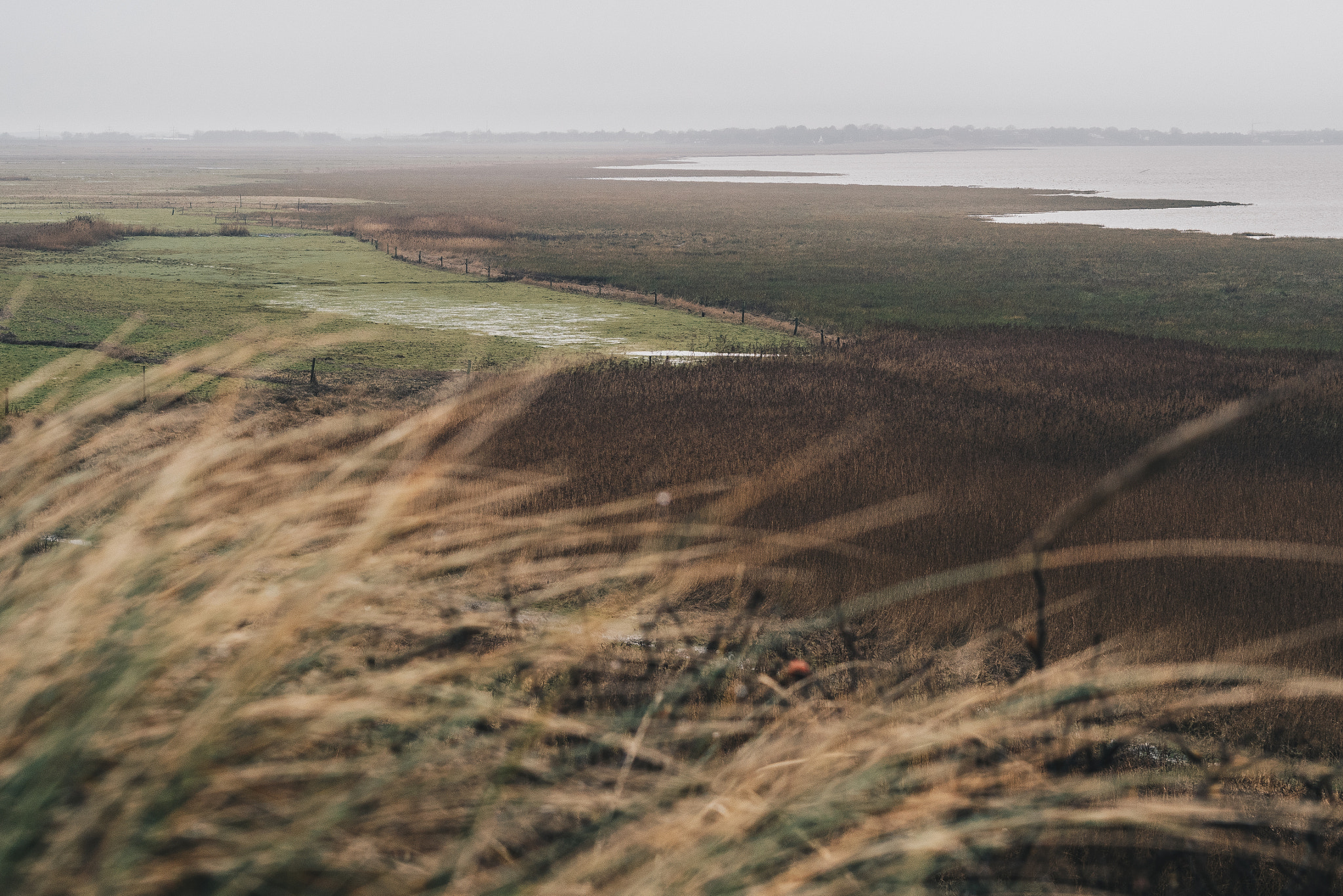 Olympus PEN E-PL8 sample photo. Sylt, morsum kliff photography