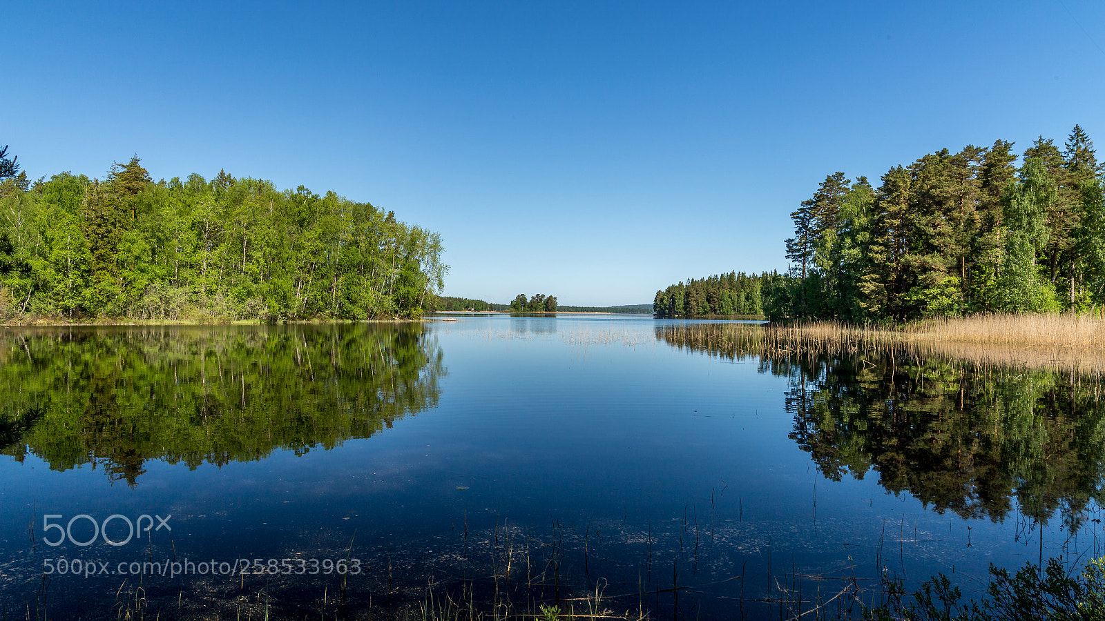 Canon EOS 6D sample photo. Morning by the lake photography