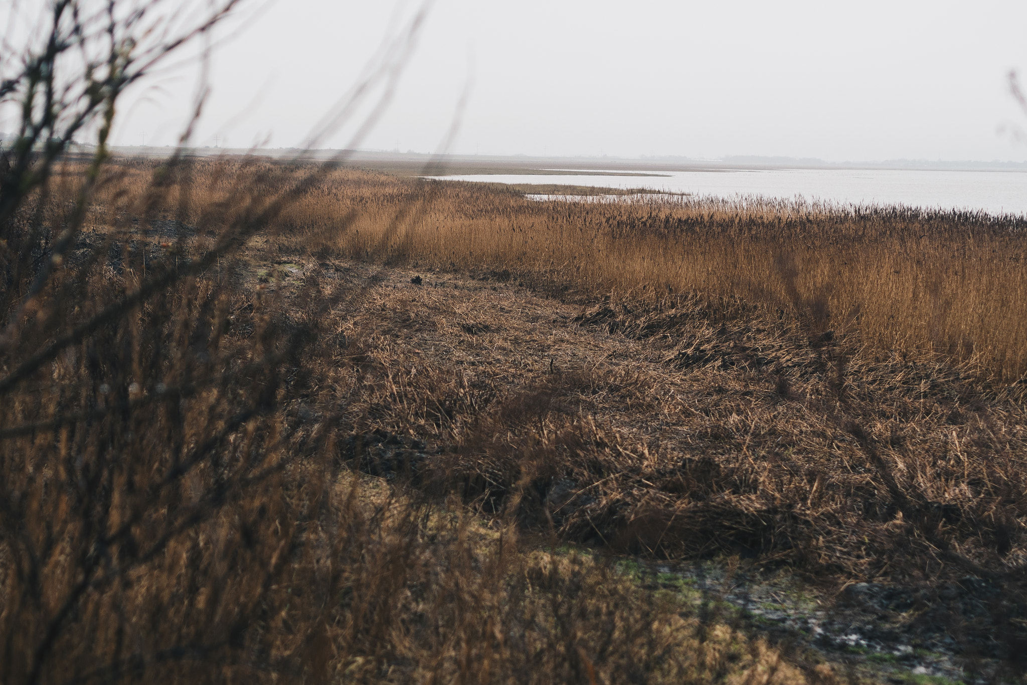 Olympus PEN E-PL8 sample photo. Sylt, morsum kliff photography